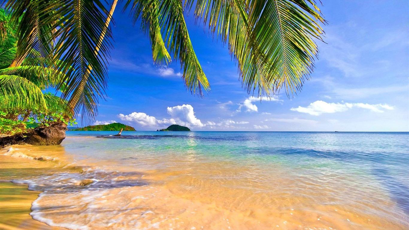 1366 x 768 · jpeg - orilla de las palmeras playa tropical-Photo fondo de pantalla HD Avance ...