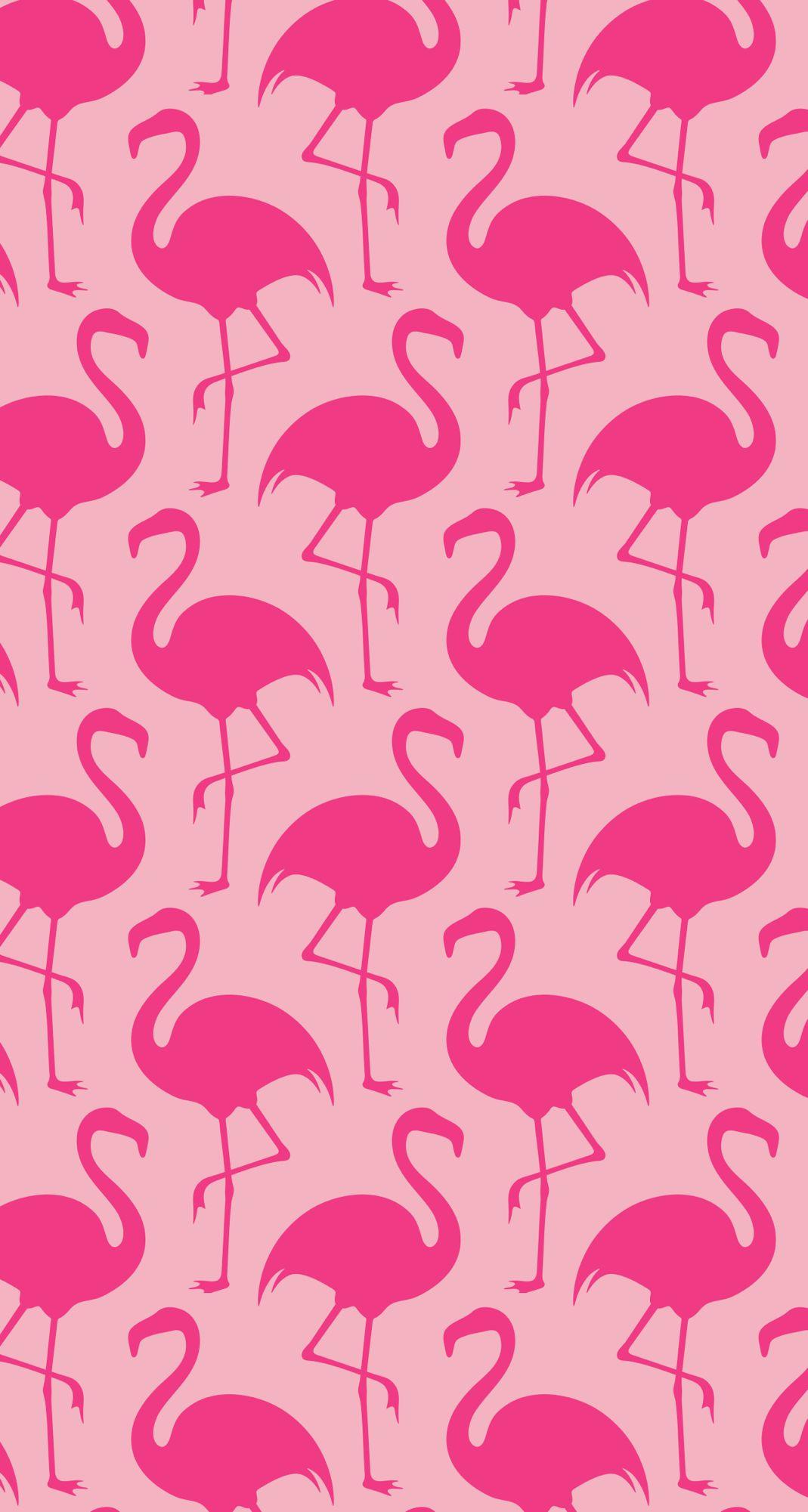 1069 x 2001 · jpeg - Pink on pink flamingos | Flamingo wallpaper, Pink flamingo wallpaper ...