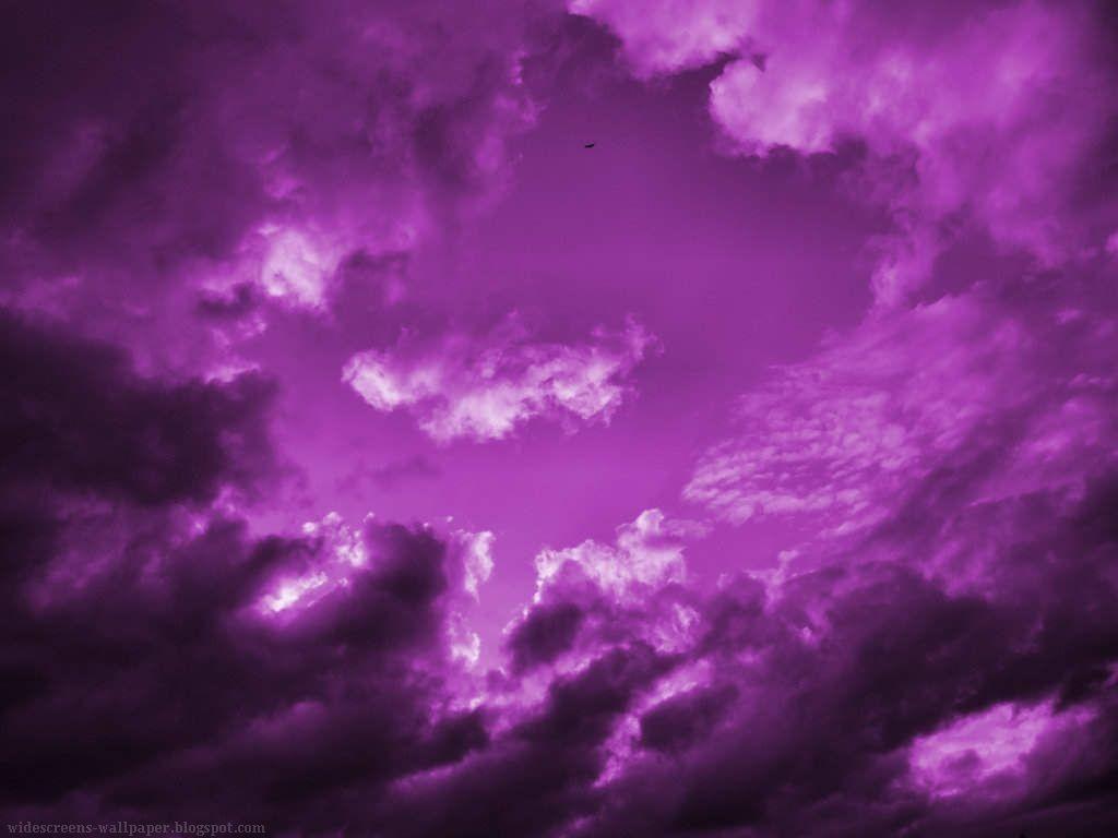 1024 x 768 · jpeg - Purple Design Backgrounds - Wallpaper Cave