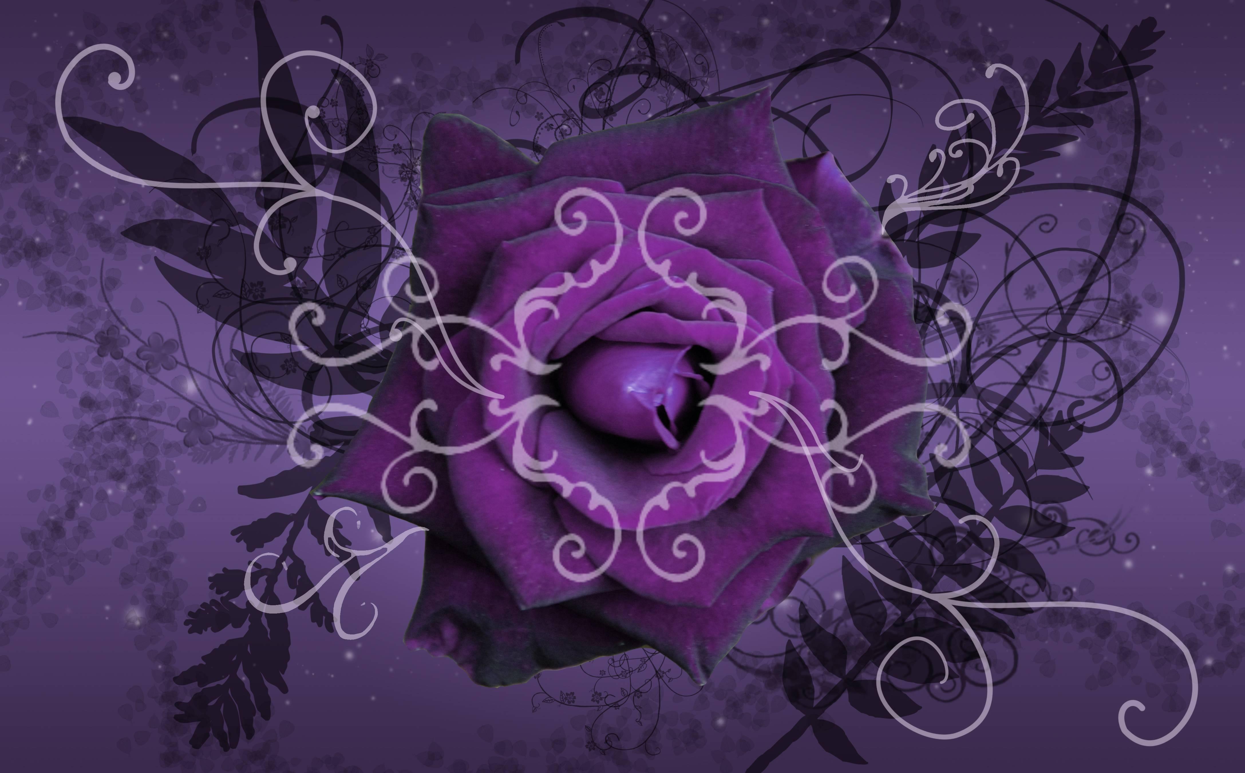 4350 x 2700 · jpeg - Purple Wallpaper Images - Wallpaper Cave