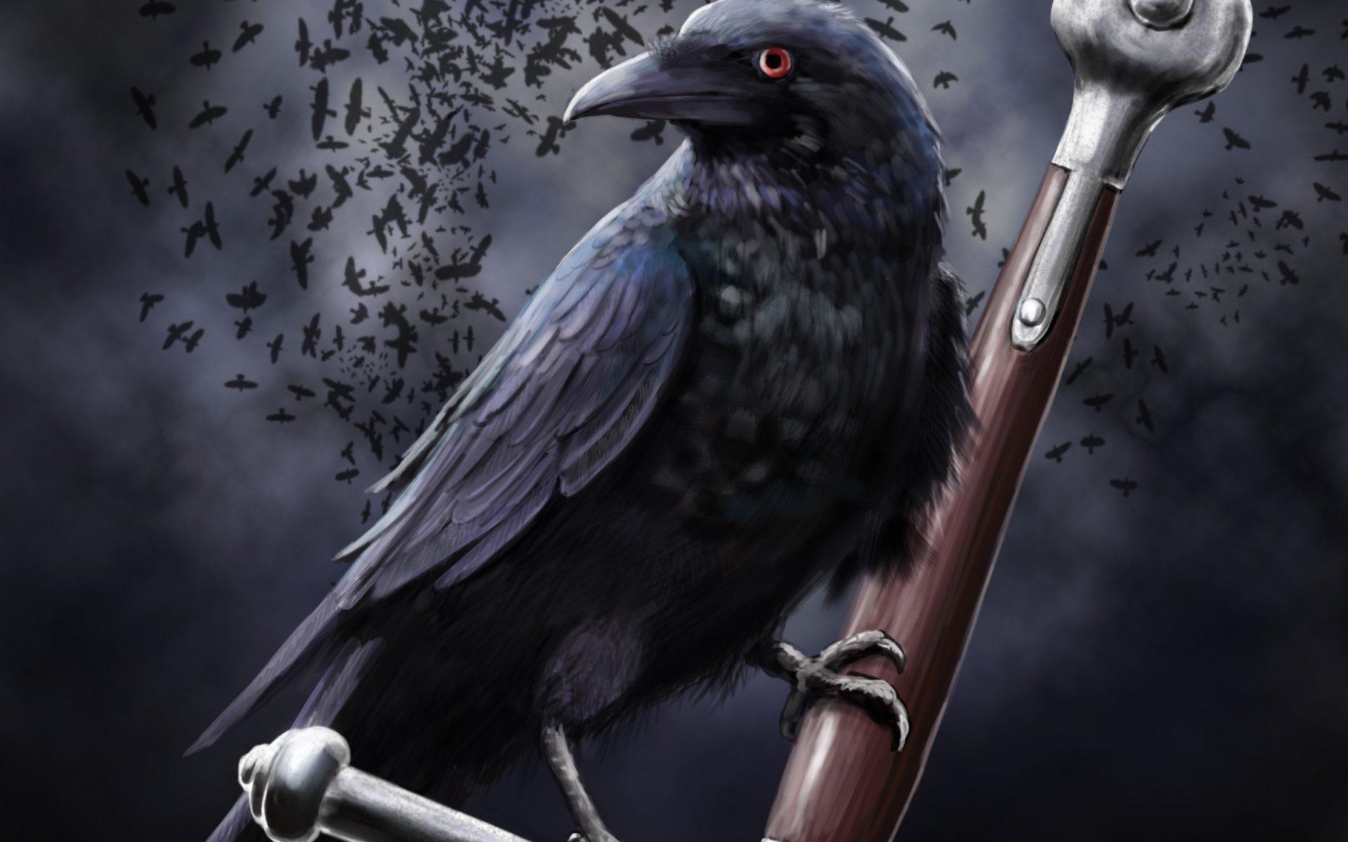 1920 x 1200 · jpeg - Ravens Crows, Dark, Black Birds, Desktop Wallpapers : Wallpapers13