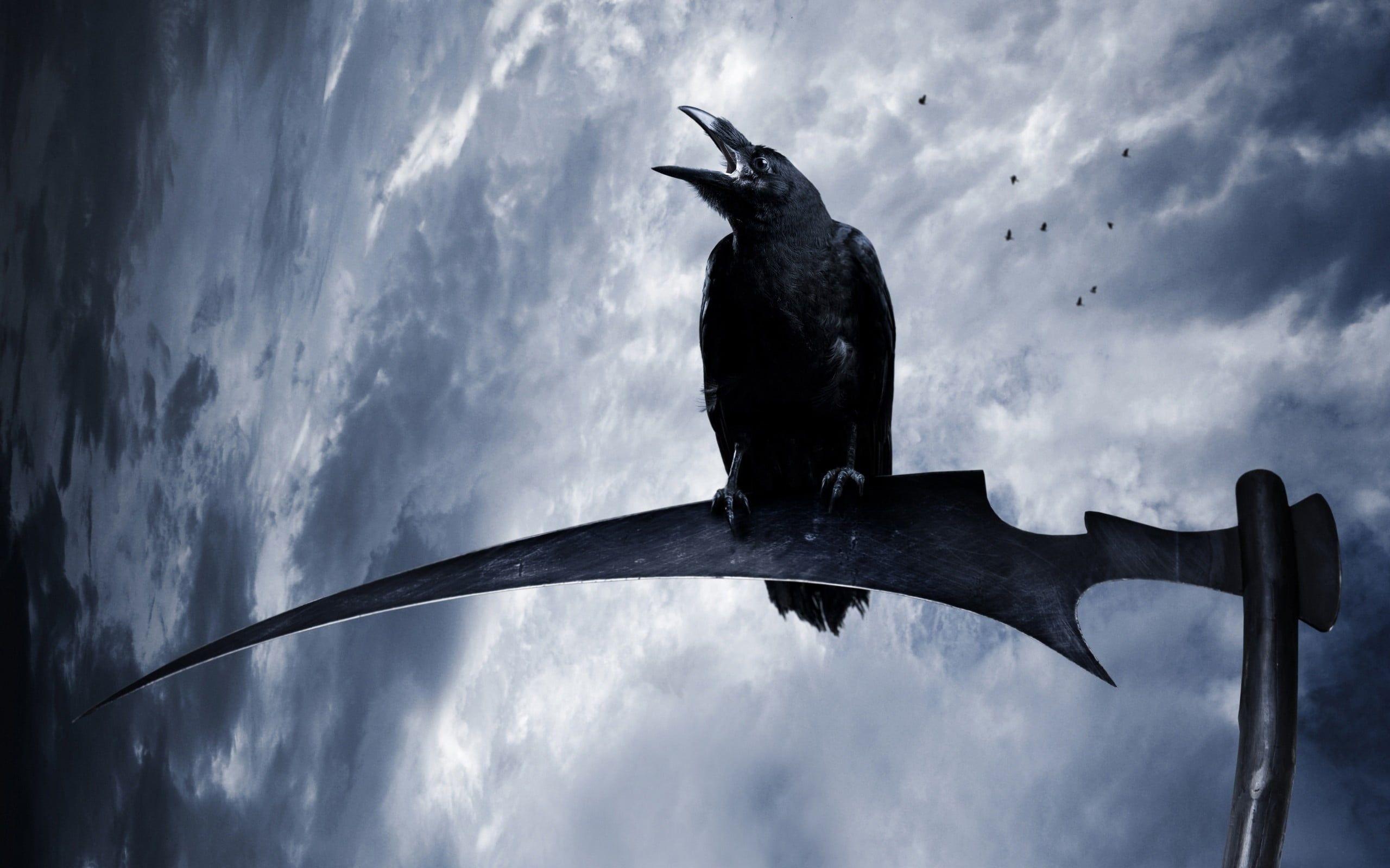 2560 x 1600 · jpeg - black crow #raven #animals #birds #scythe fantasy art #2K #wallpaper # ...