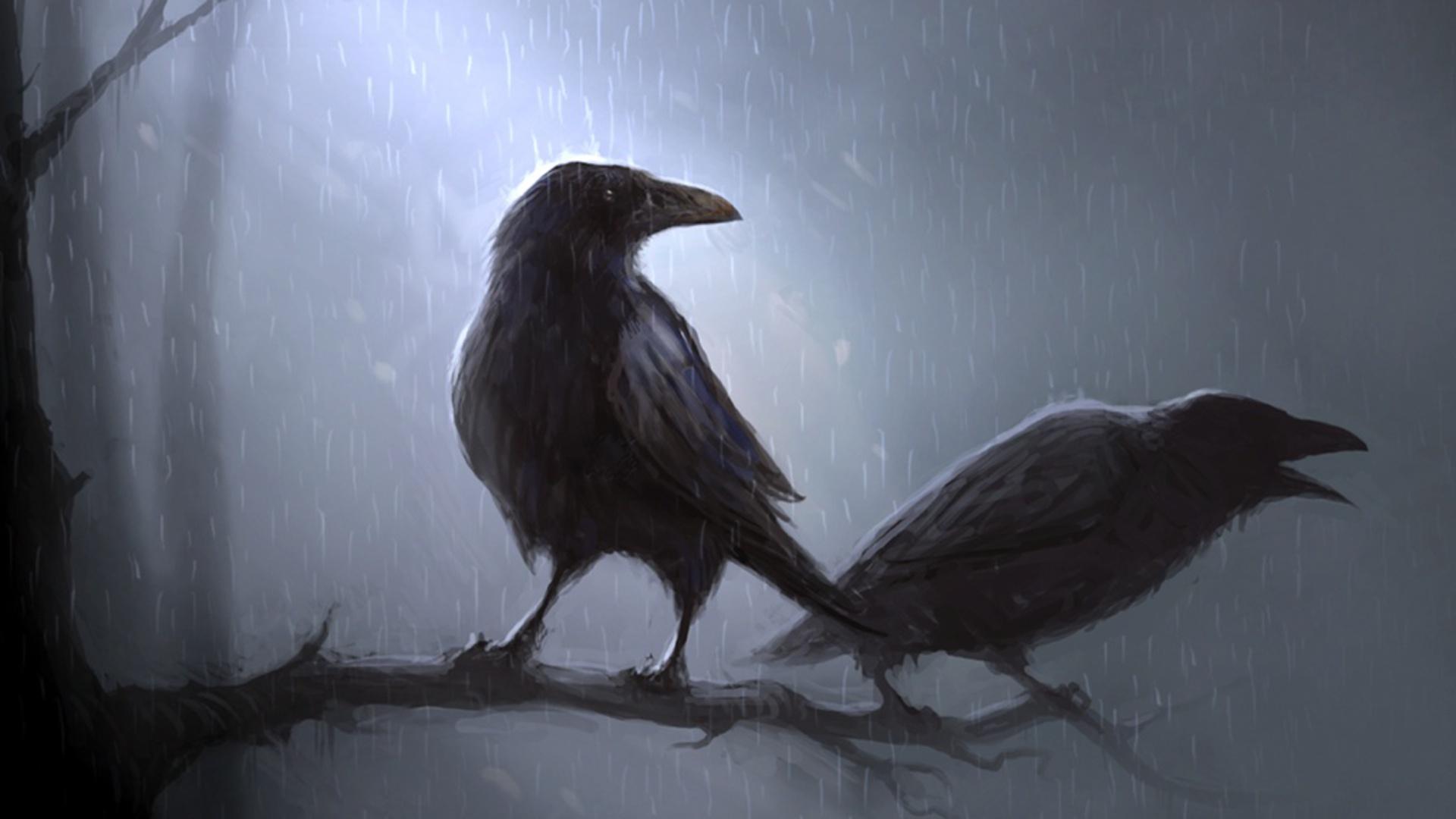 1920 x 1080 · jpeg - 60 Crow HD Wallpapers | Backgrounds - Wallpaper Abyss