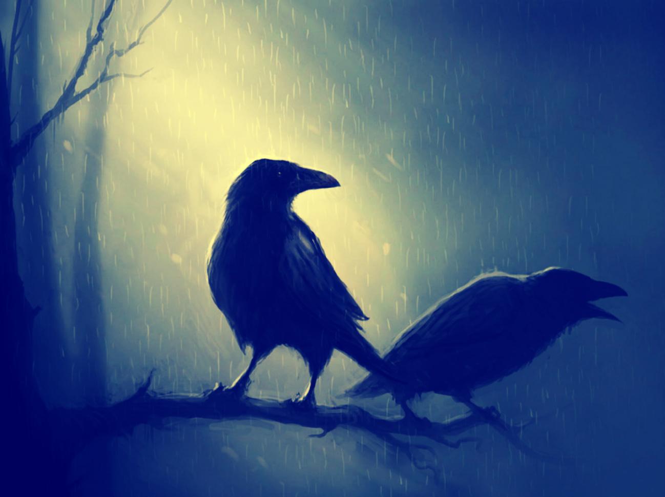 1298 x 970 · jpeg - Dark Crows Wallpaper and Background Image | 1298x970 | ID:420440 ...