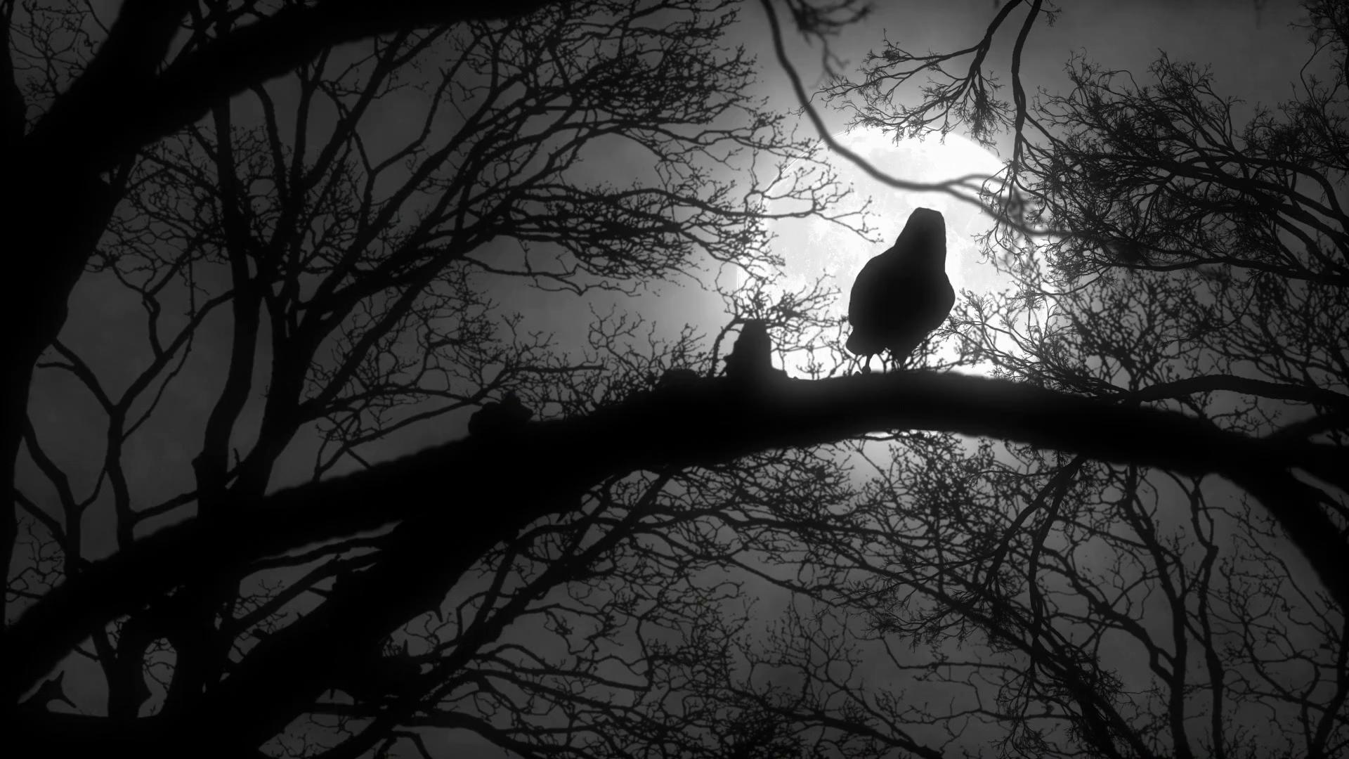 1920 x 1080 · png - Scary Creepy Crow or Raven Sitting on Tree Branch During a Full Moon ...