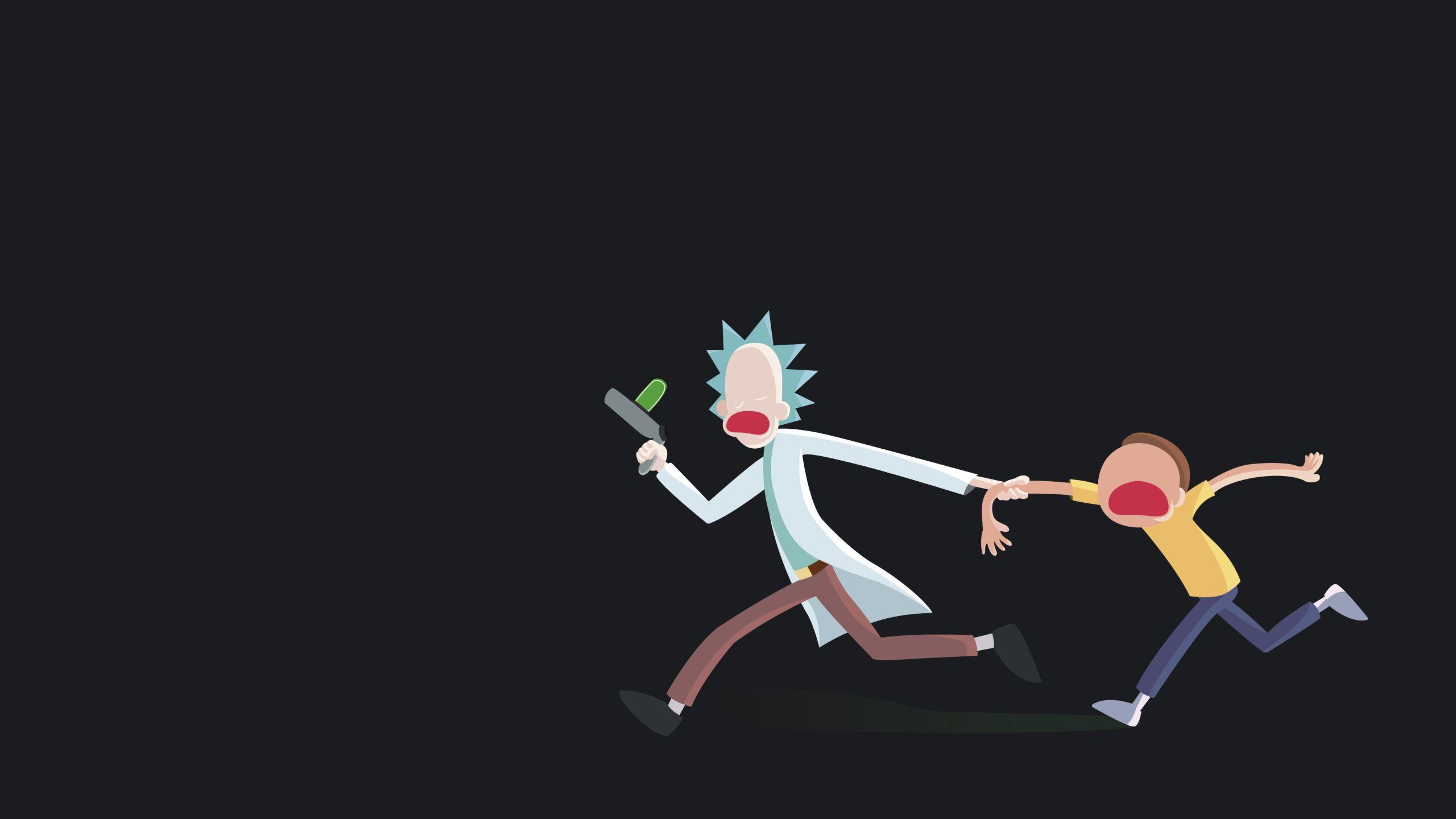 2560 x 1440 · jpeg - Coolest PC Minimalist Rick And Morty Wallpapers - Wallpaper Cave