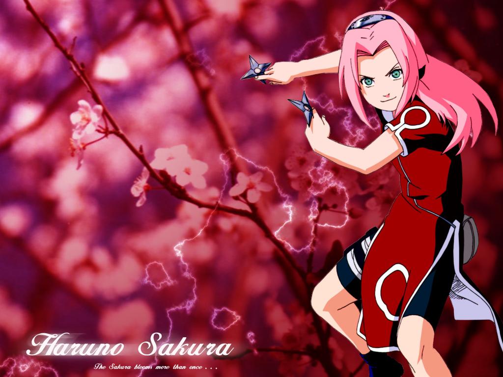 1024 x 768 · jpeg - Naruto Wallpaper: Sakura Drops - Minitokyo