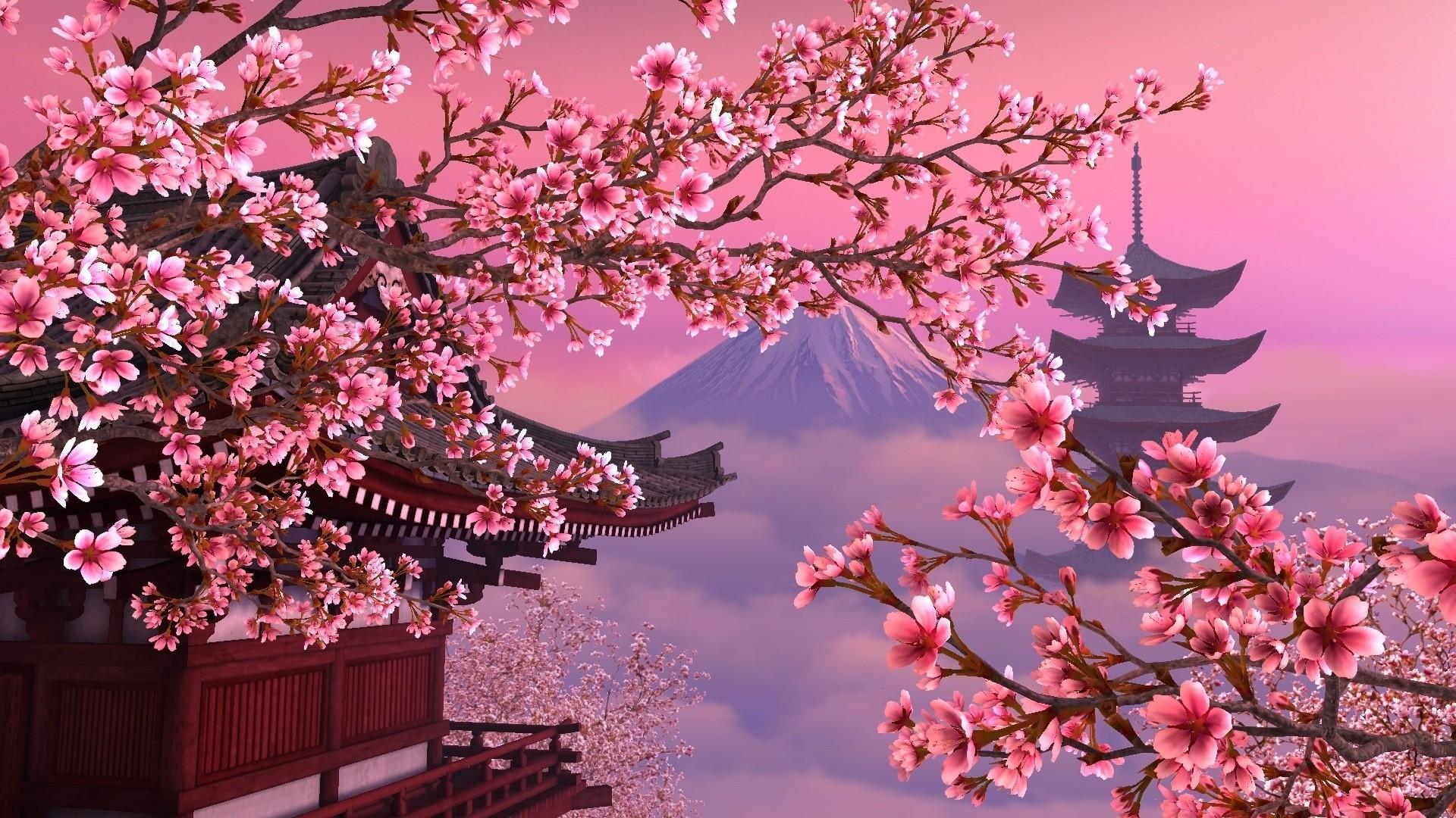 1920 x 1080 · jpeg - Sakura Wallpapers (66+ images)