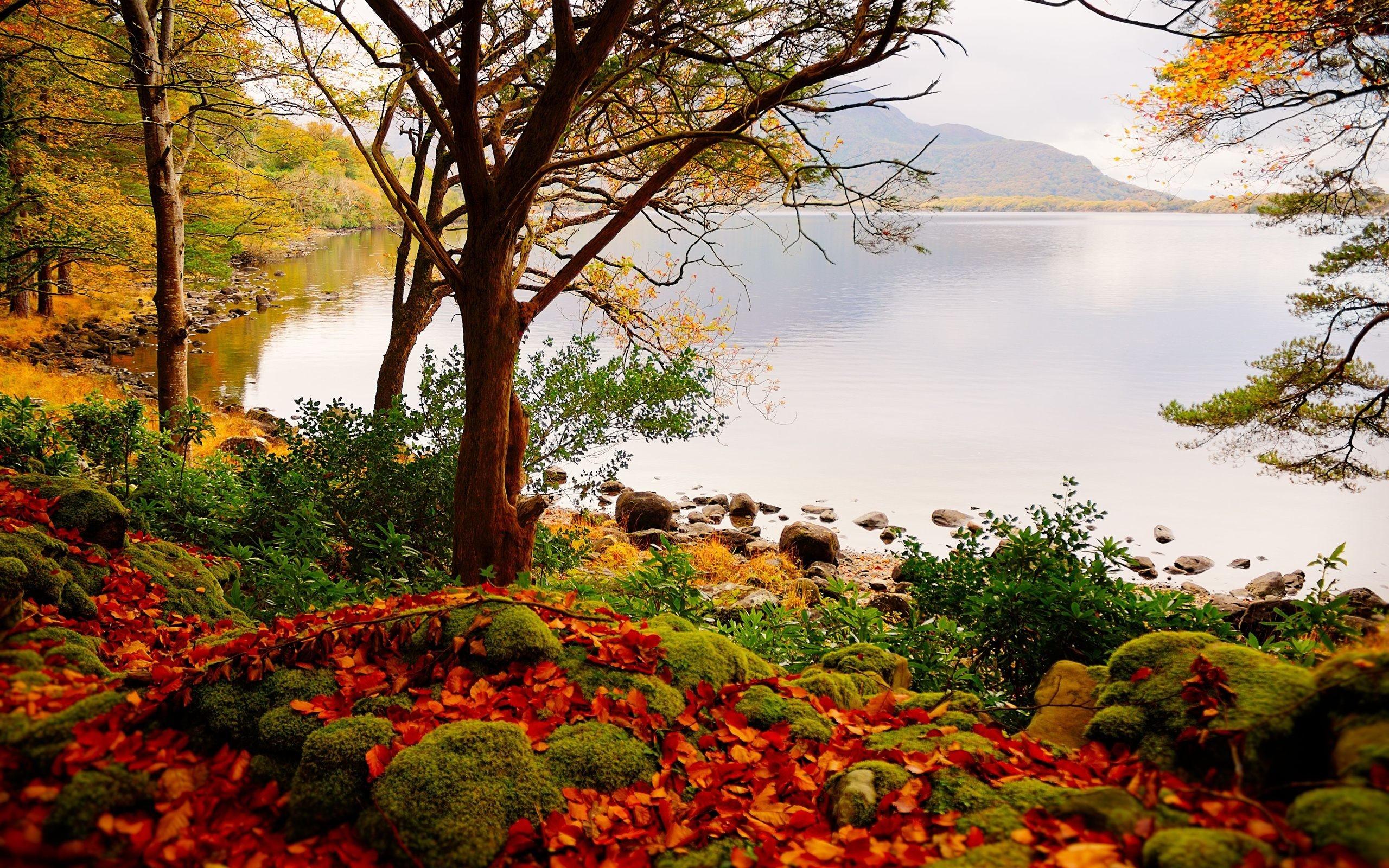 2560 x 1600 · jpeg - Beautiful Fall Scenery Wallpaper (49+ images)