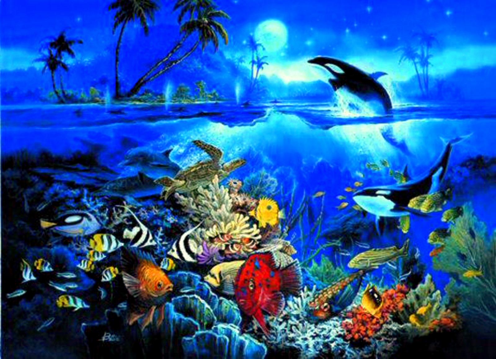 1600 x 1157 · jpeg - HD Ocean Sea Life Wallpapers - WallpaperSafari