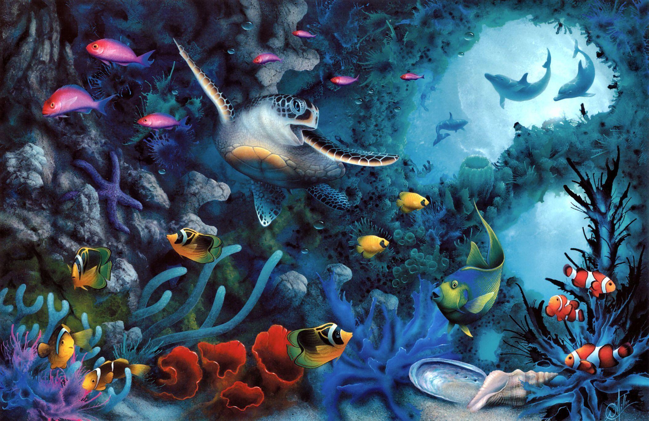 2109 x 1367 · jpeg - Sea Life HD Wallpaper | Background Image | 2109x1367