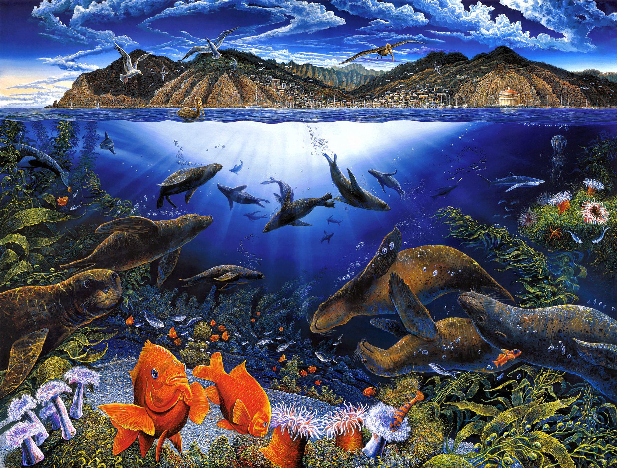 2027 x 1537 · jpeg - Sea Life HD Wallpaper | Background Image | 2027x1537