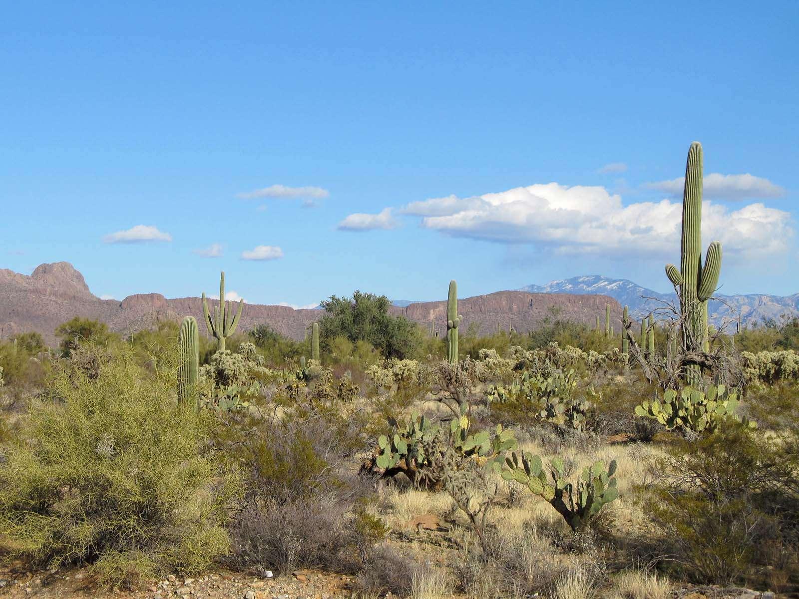 1600 x 1200 · jpeg - Arizona Desert Wallpaper HD - WallpaperSafari