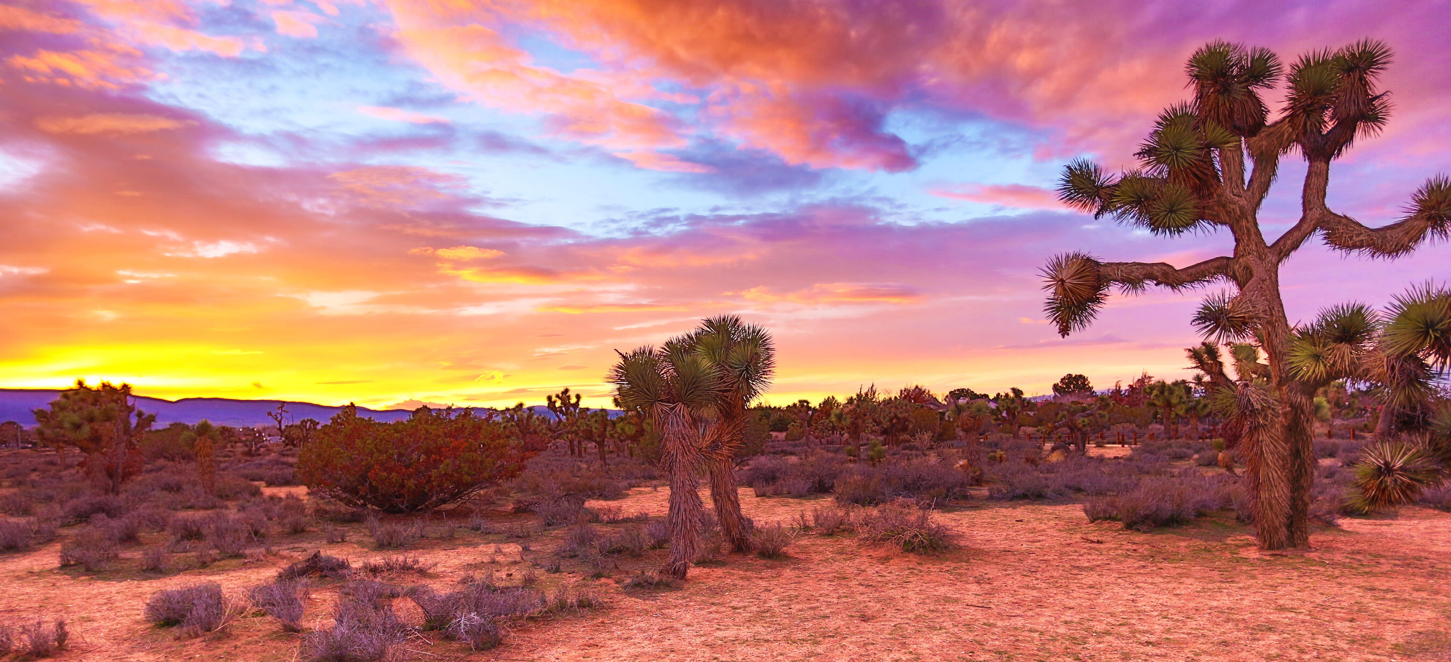 5760 x 2627 · jpeg - Sonoran Desert Wallpapers - Top Free Sonoran Desert Backgrounds ...