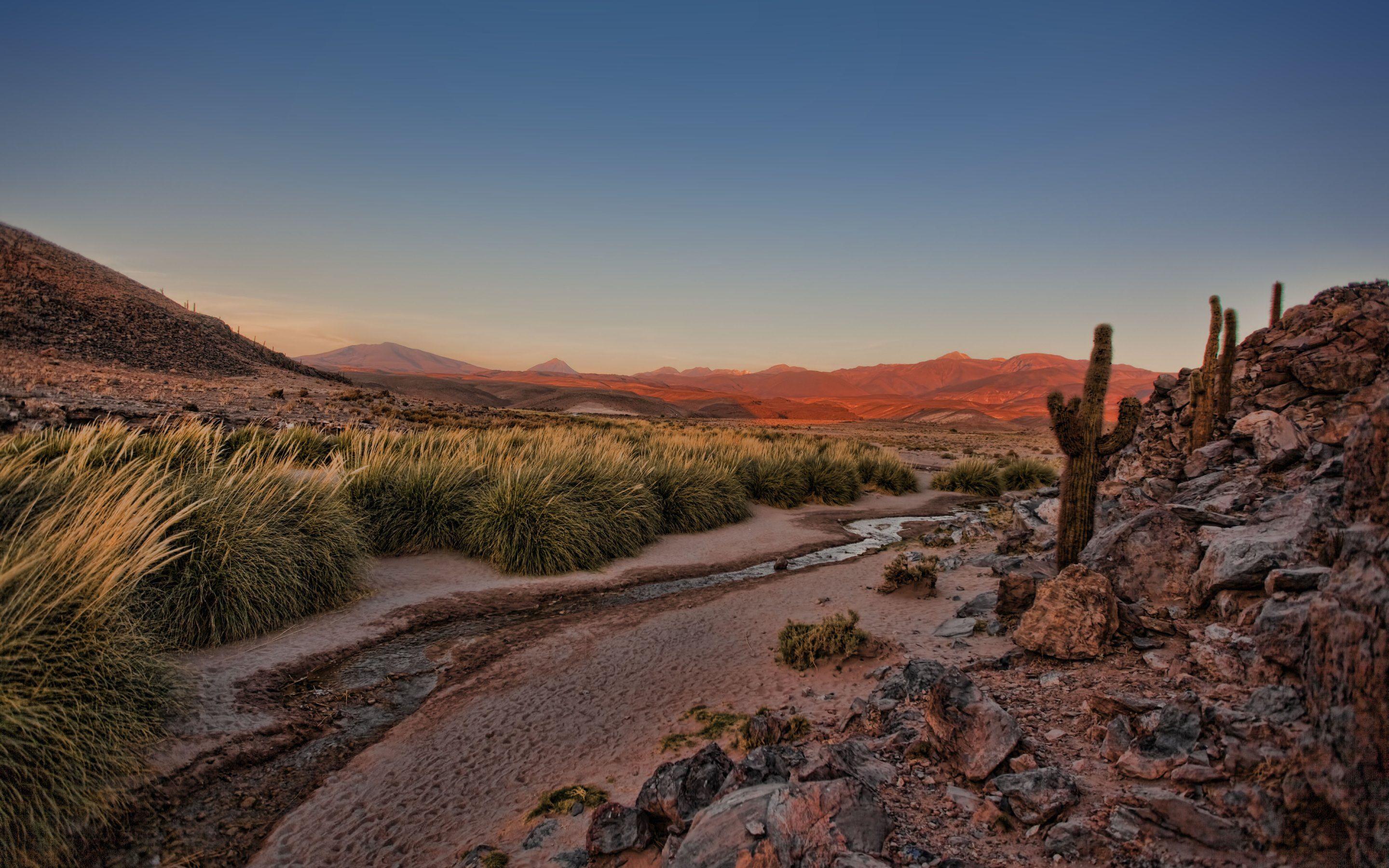 2880 x 1800 · jpeg - Sonoran Desert Wallpapers - Top Free Sonoran Desert Backgrounds ...