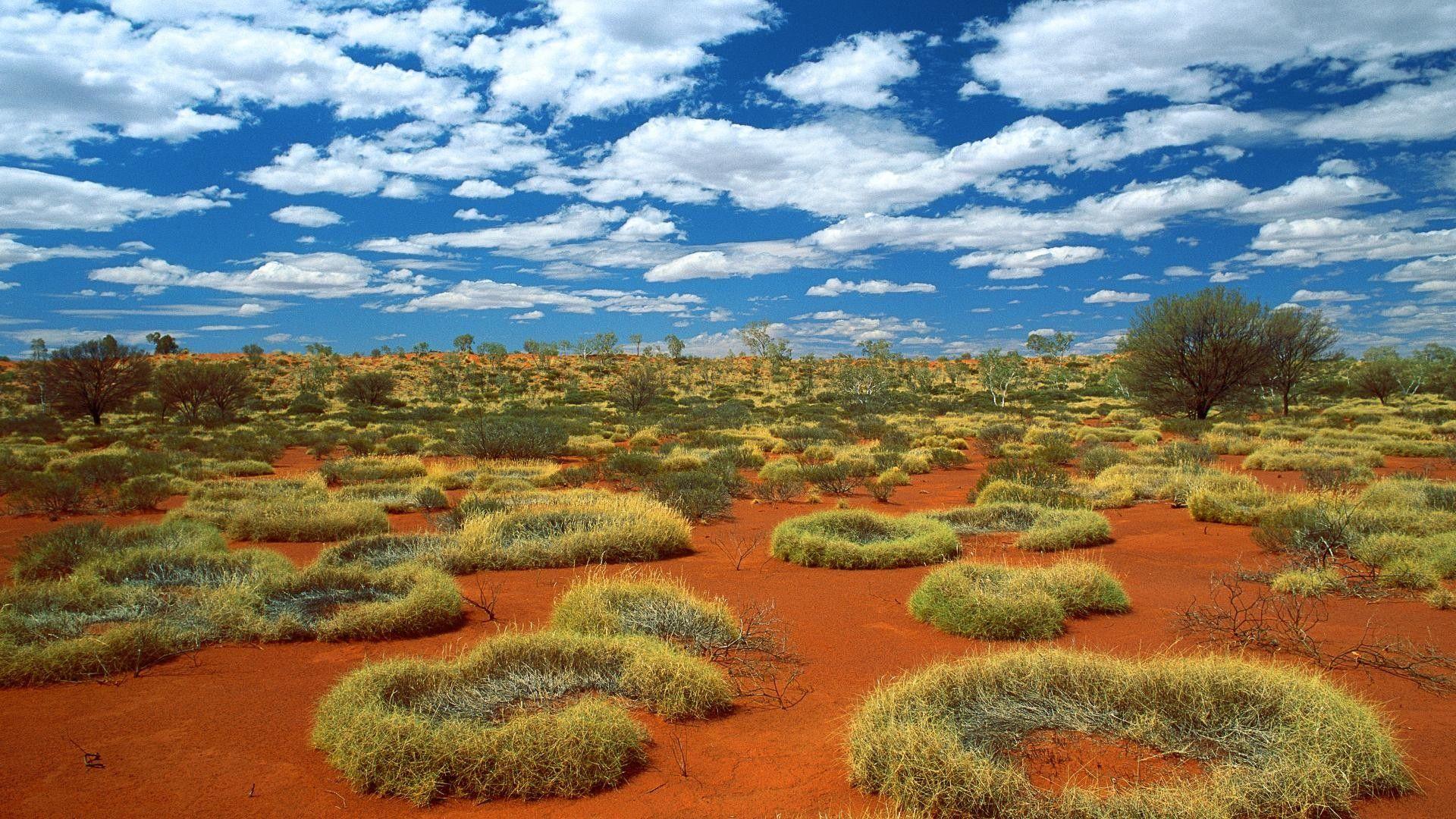 1920 x 1080 · jpeg - Sonoran Desert Wallpapers - Top Free Sonoran Desert Backgrounds ...