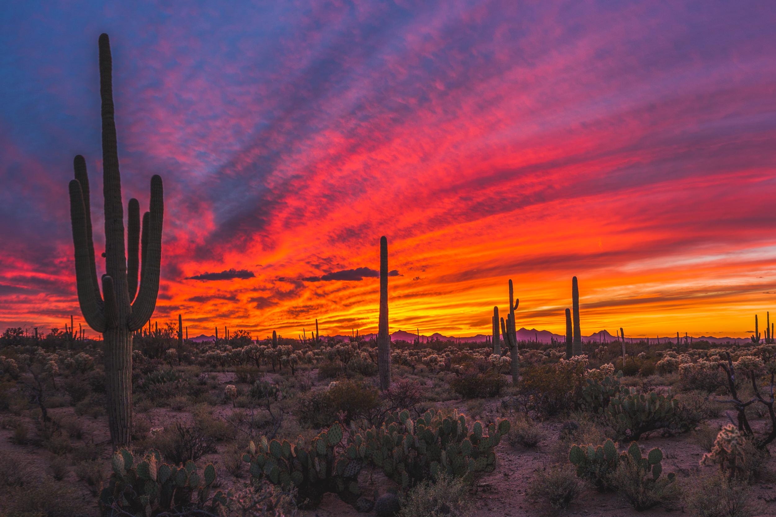 2500 x 1667 · jpeg - Sonoran Desert Sunset [OC] [2500x1667] : EarthPorn