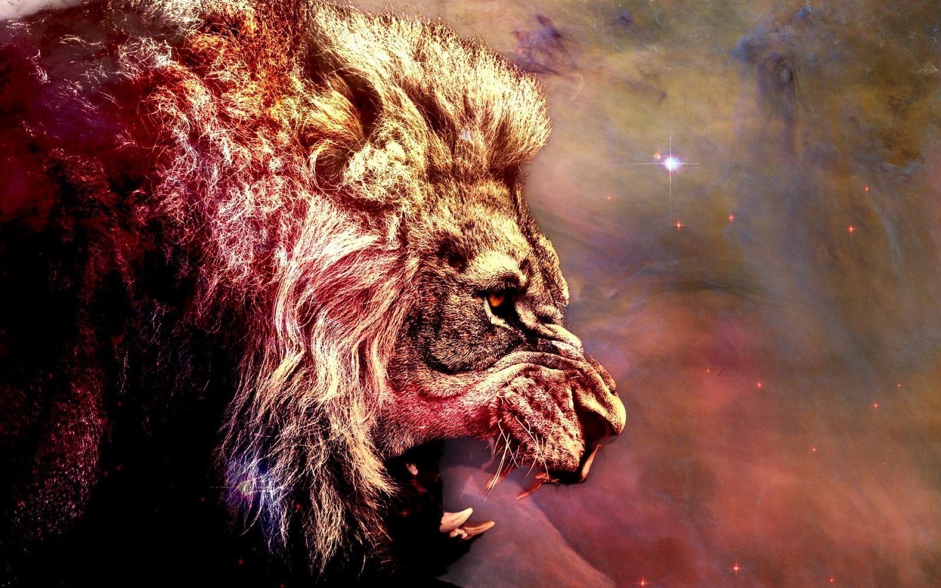 1920 x 1200 · jpeg - Space Lion Wallpapers - Top Free Space Lion Backgrounds - WallpaperAccess
