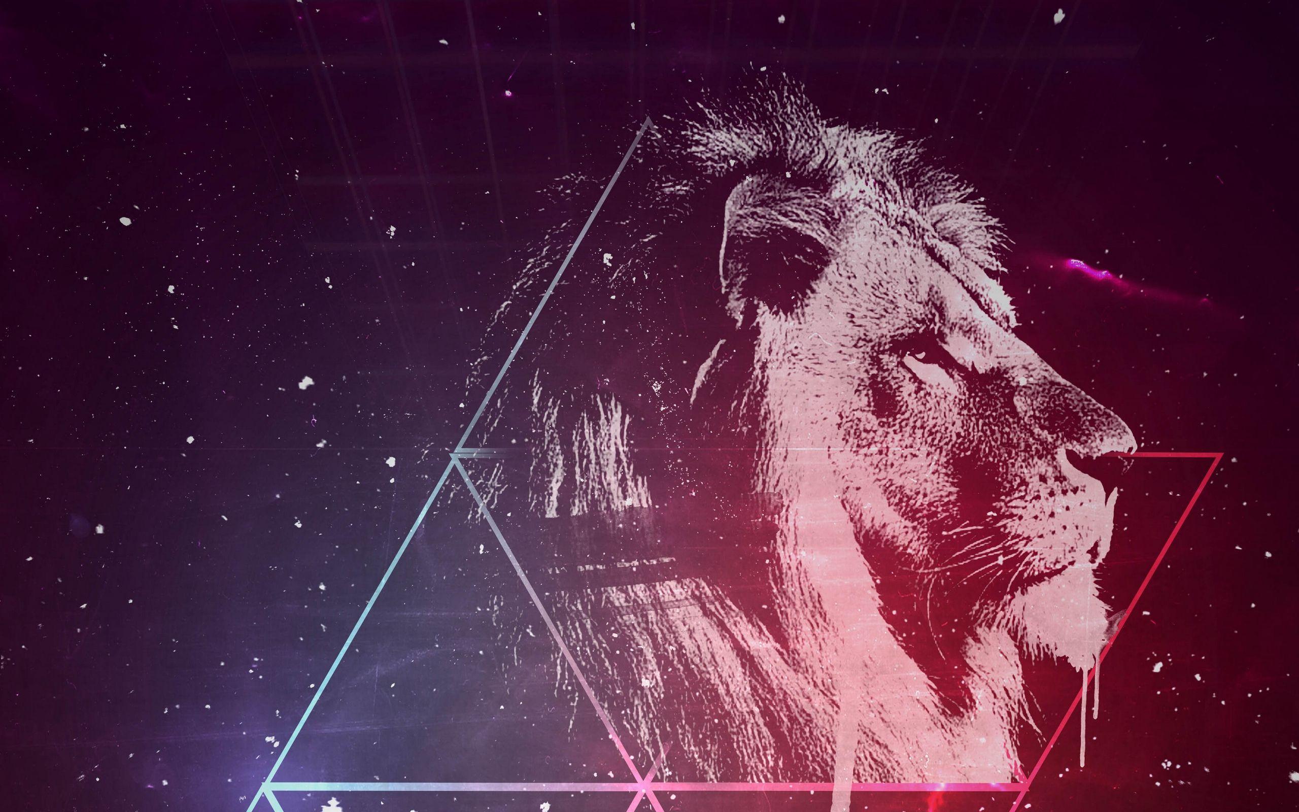 2560 x 1600 · jpeg - Space Lion Wallpapers - Top Free Space Lion Backgrounds - WallpaperAccess