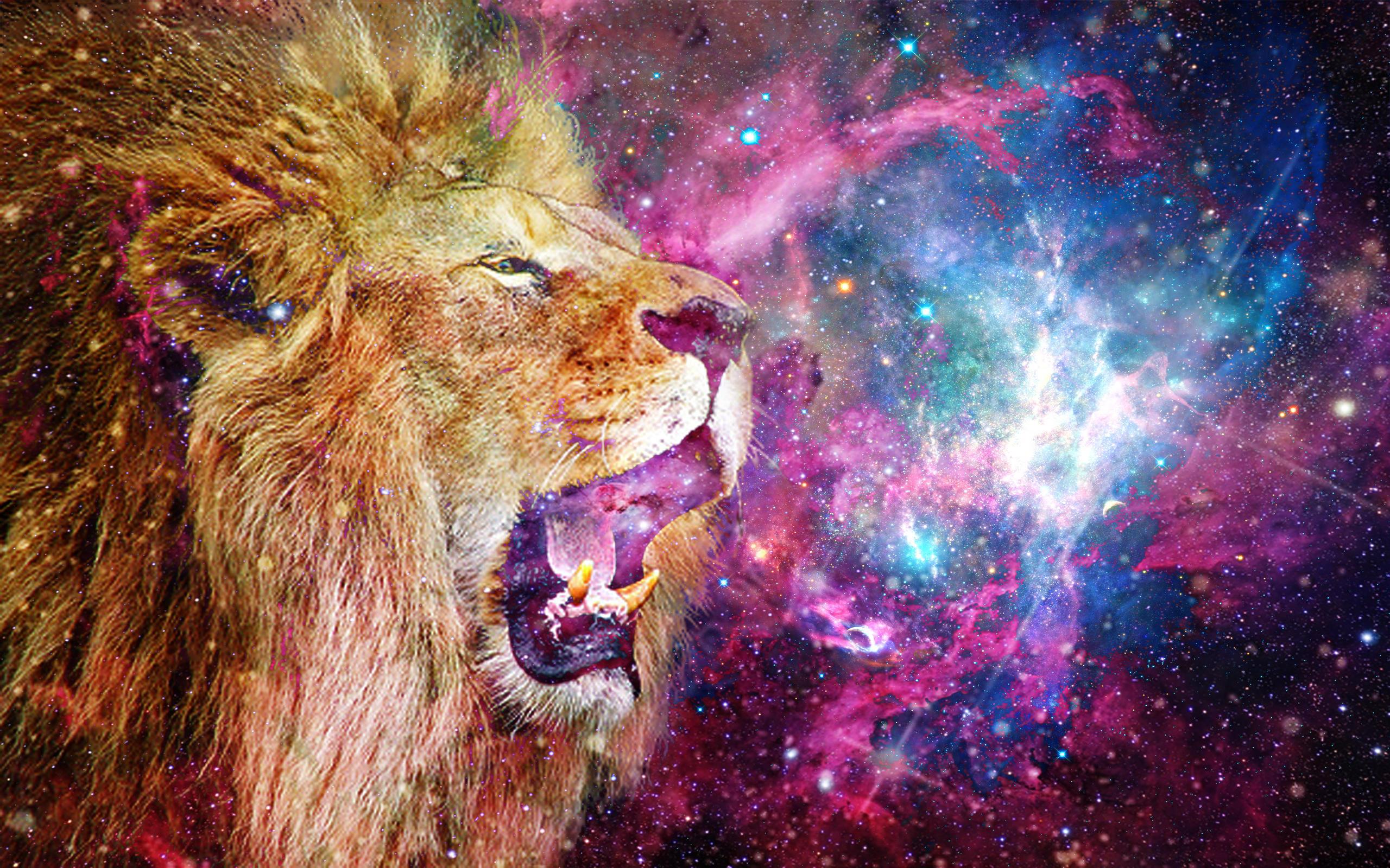 2560 x 1600 · jpeg - Lion space :3 by SrMelon on DeviantArt