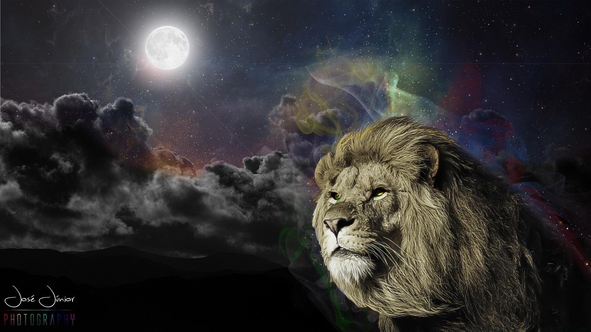 1920 x 1080 · jpeg - The Great Lion - Phone wallpapers