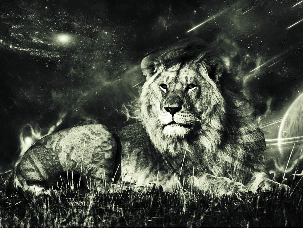 1024 x 771 · png - Lion In Space by Empyree on DeviantArt