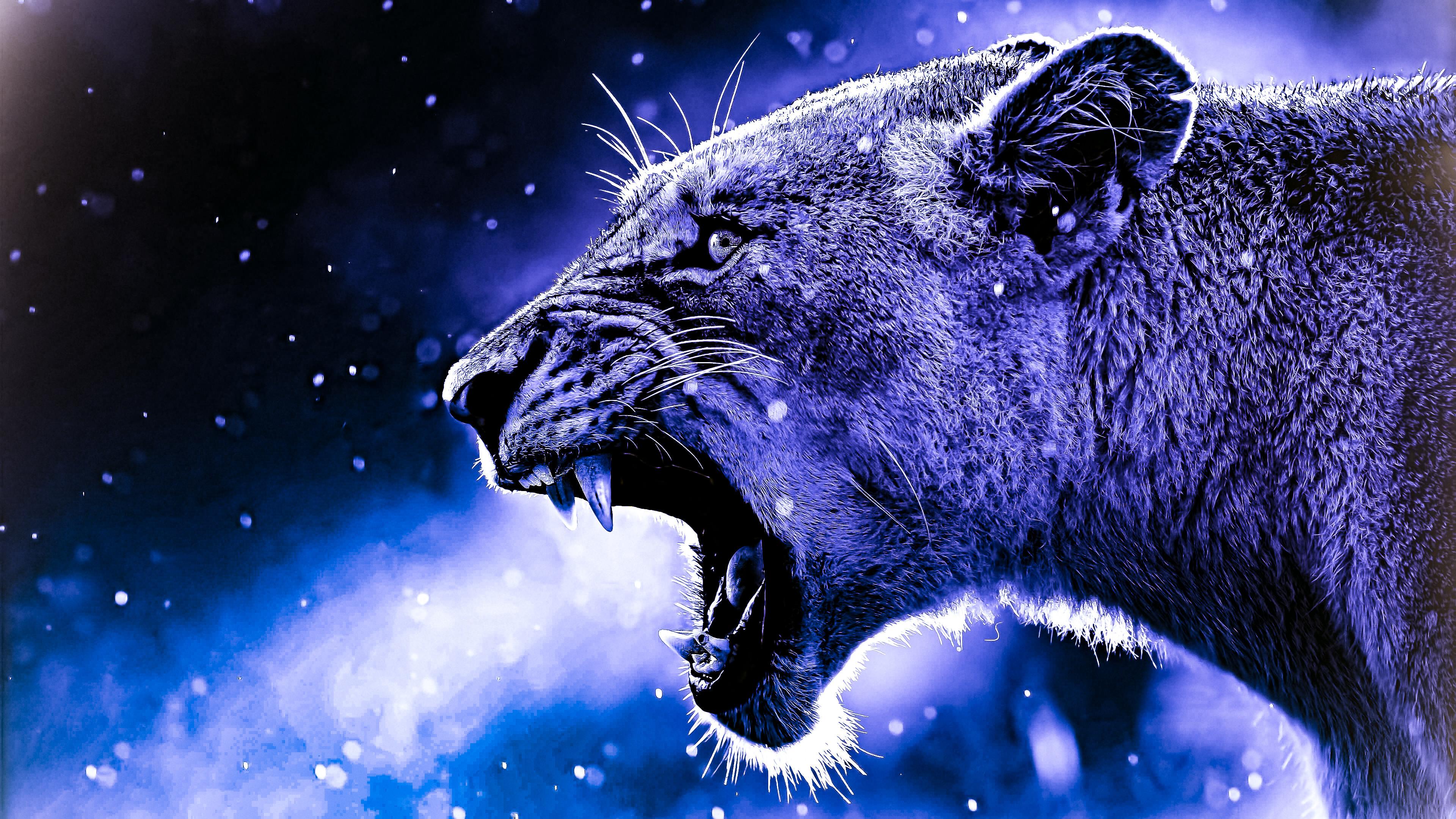 3840 x 2160 · jpeg - Colorful Lion wallpapers - HD wallpaper Collections - 4kwallpaper.wiki