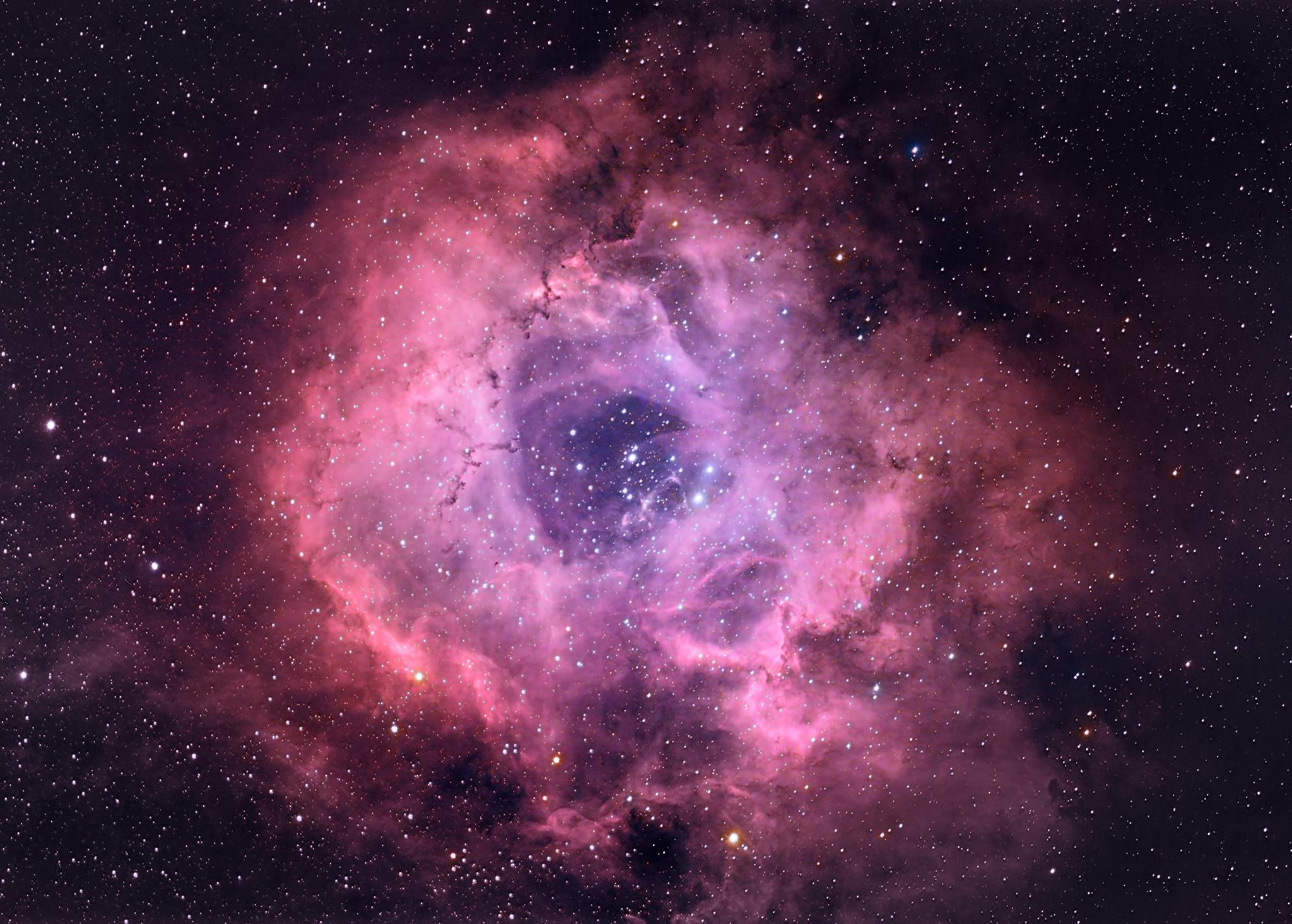 2048 x 1465 · jpeg - Will you Accept this Rose? (NGC2237) HD Wallpaper | Background Image ...