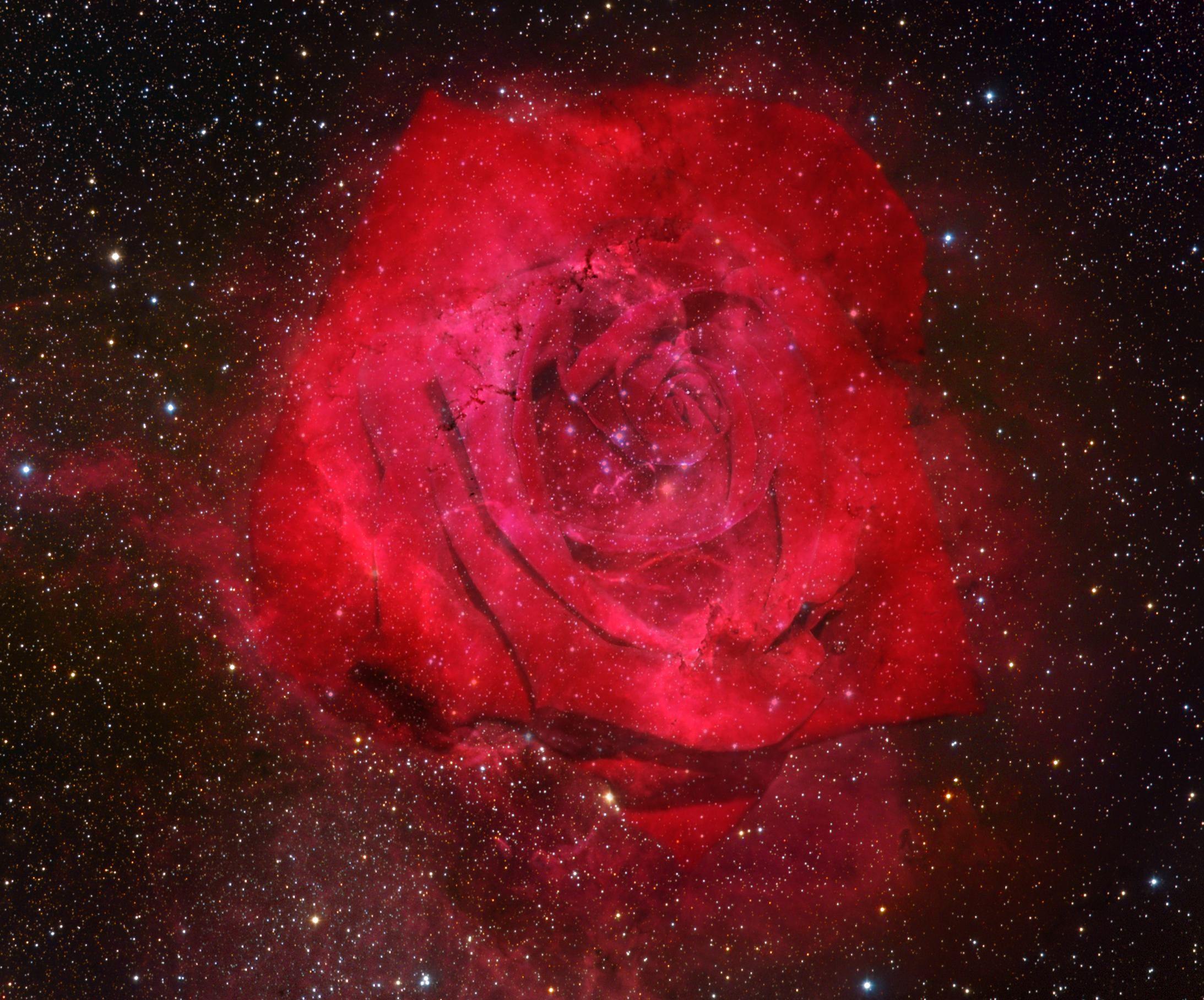 2186 x 1816 · jpeg - rose nebula | Flower pictures, Quran pictures, Virgo ascendant