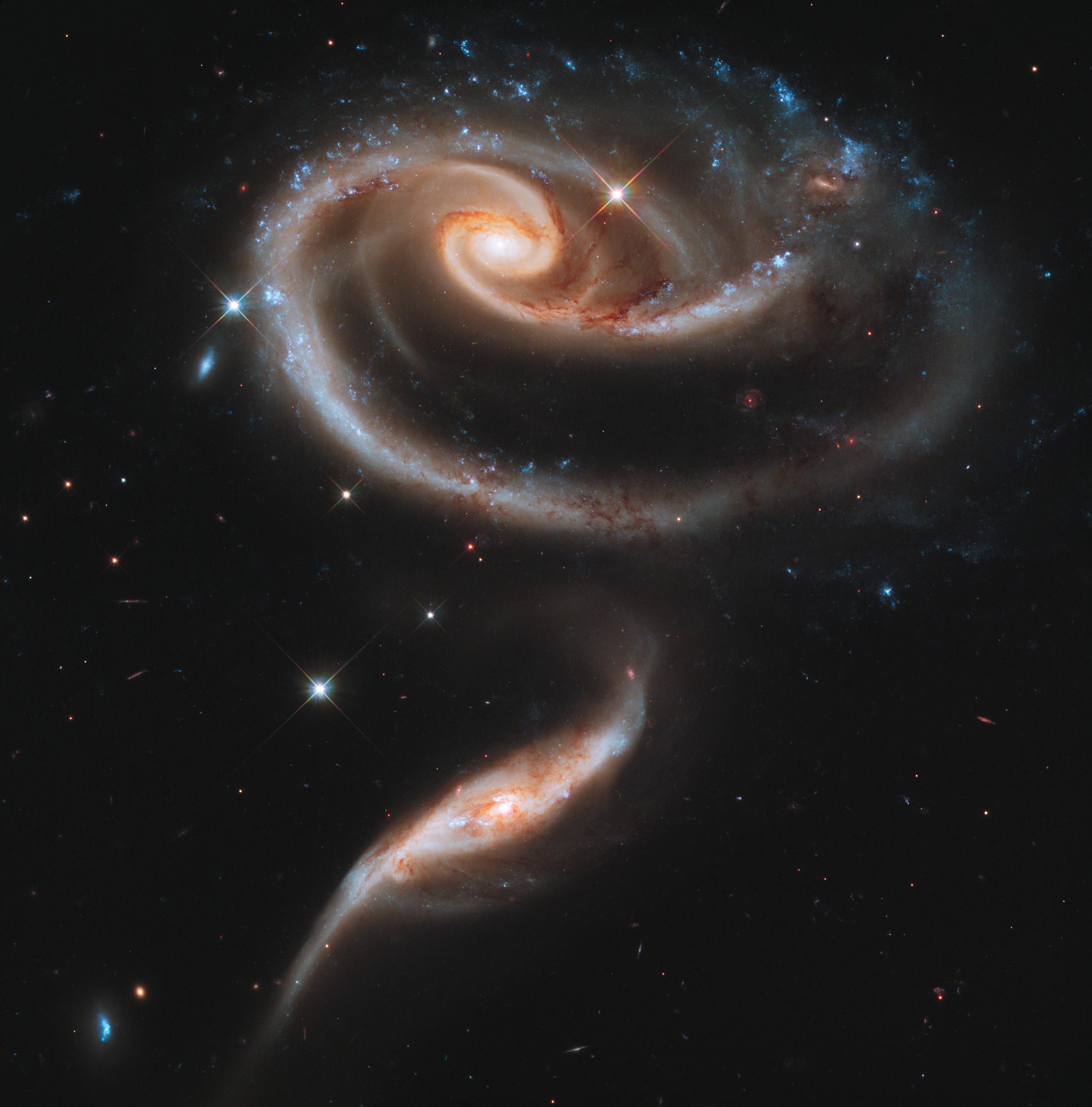 7887 x 7994 · jpeg - A rose made out of galaxies. HST [78877994] | Space telescope, Space ...