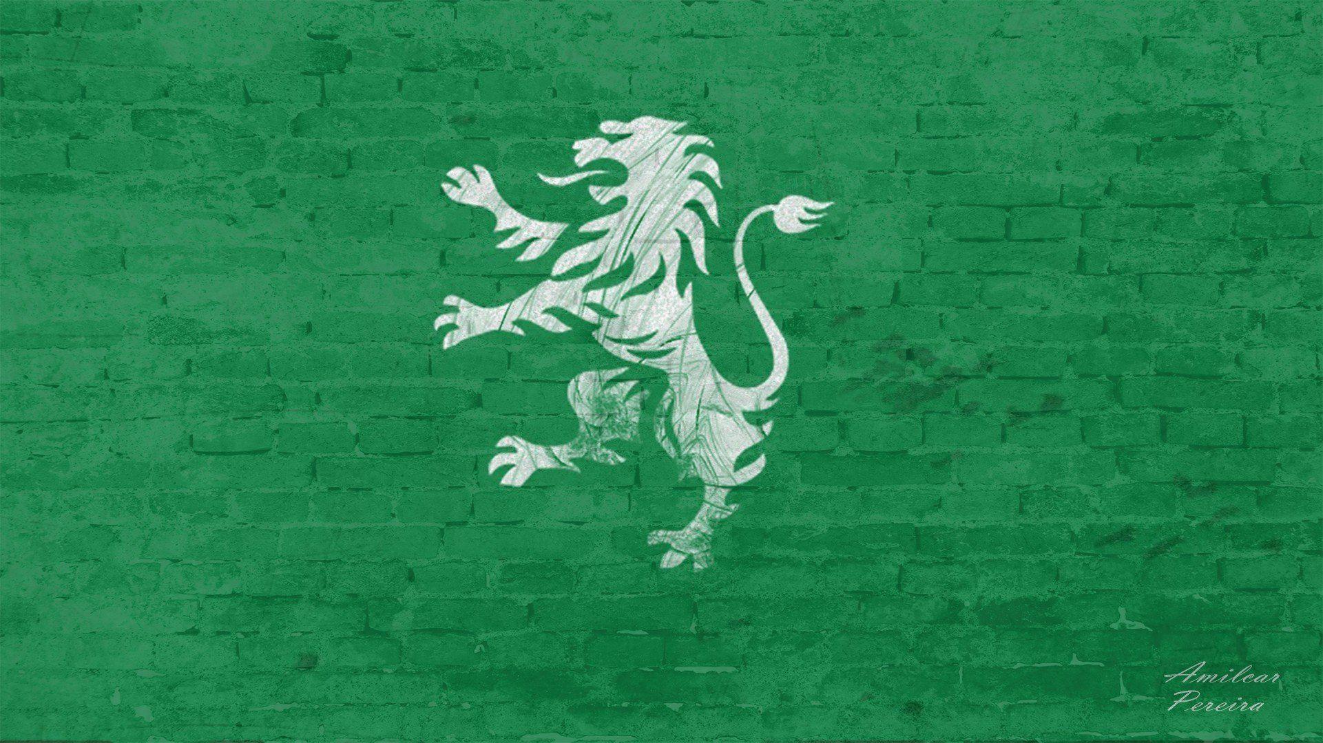 1921 x 1080 · jpeg - Sporting CP Wallpapers - Wallpaper Cave