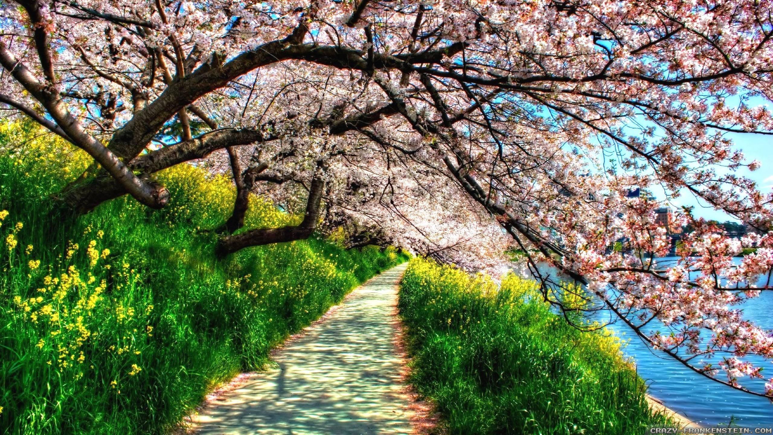 2560 x 1440 · jpeg - Spring Nature Wallpapers - Wallpaper Cave