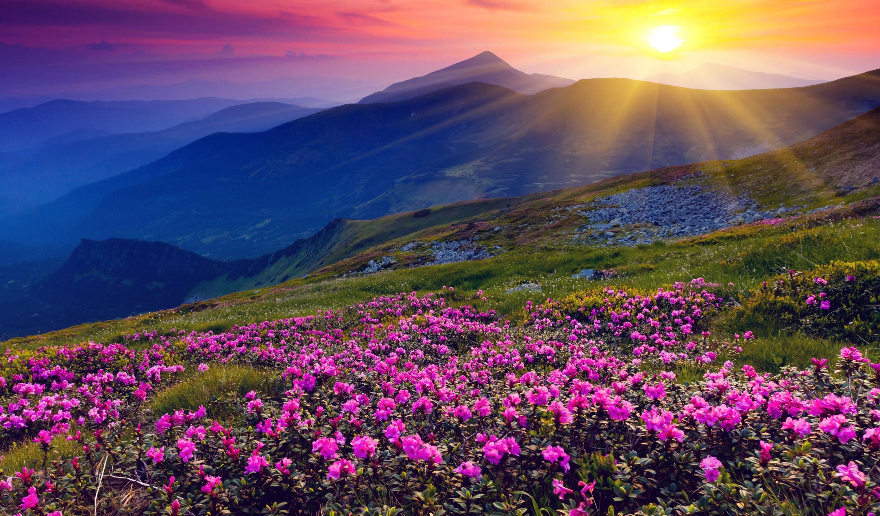 3044 x 1784 · jpeg - Beautiful Spring Wallpaper 4K for Android - APK Download