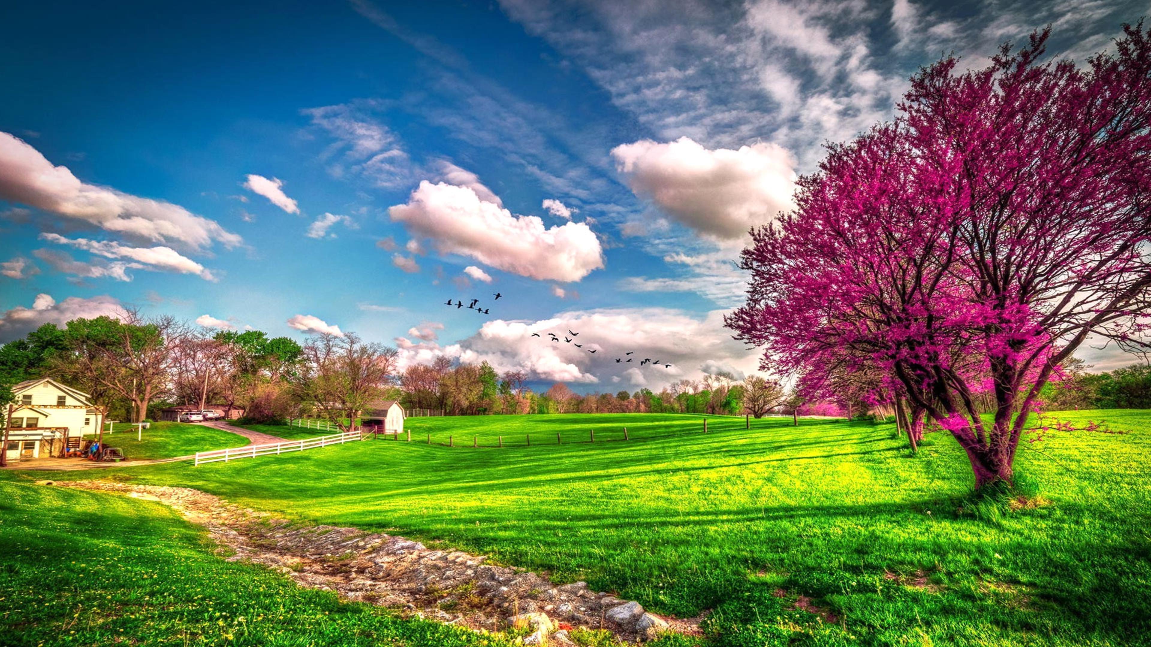 3840 x 2160 · jpeg - Landscape beautiful spring nature - HD wallpaper Wallpaper Download ...