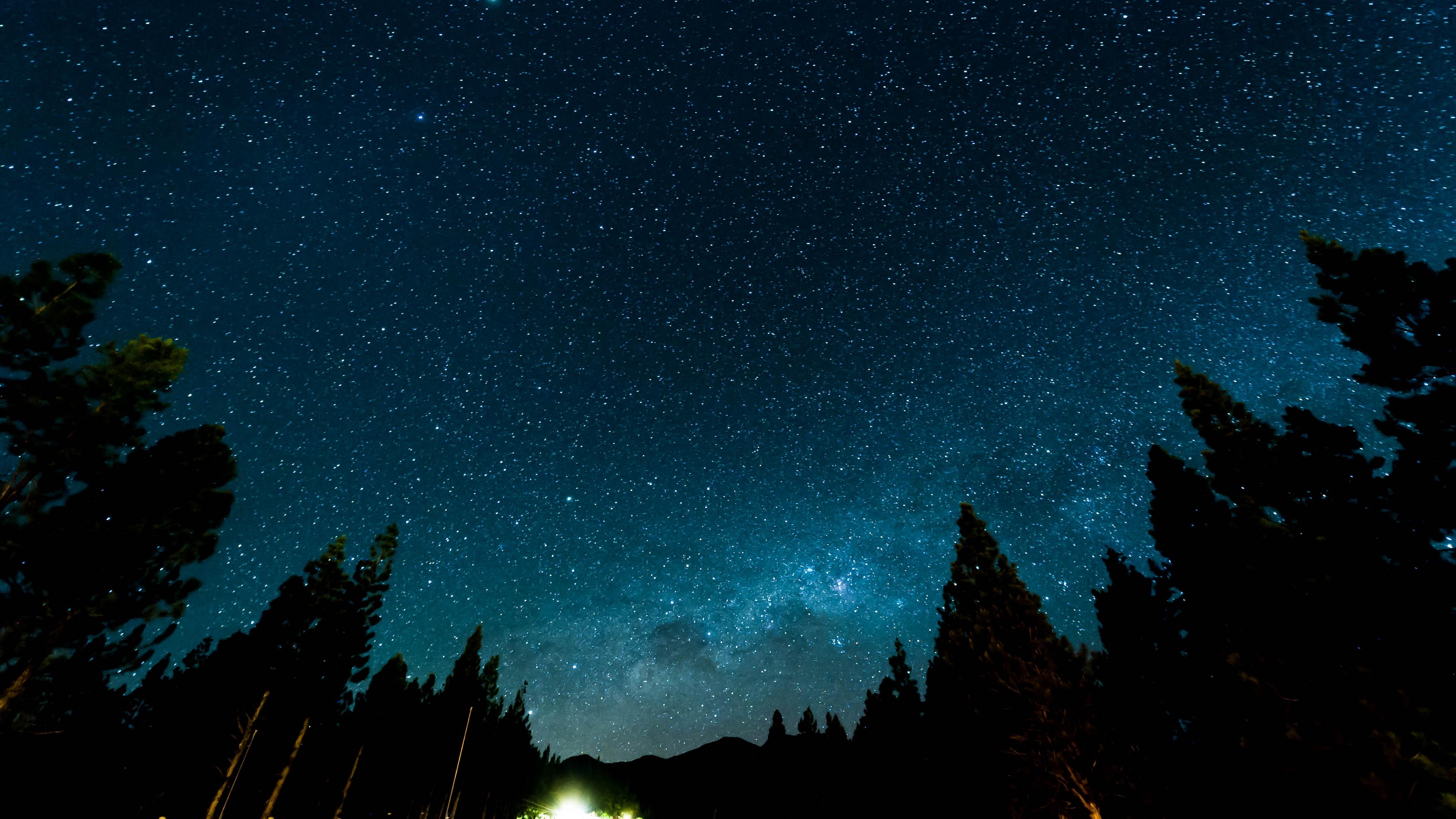 3840 x 2160 · jpeg - Starry Sky Night Stars Forest Nebula 4k - 3840x2160 Wallpaper - teahub.io