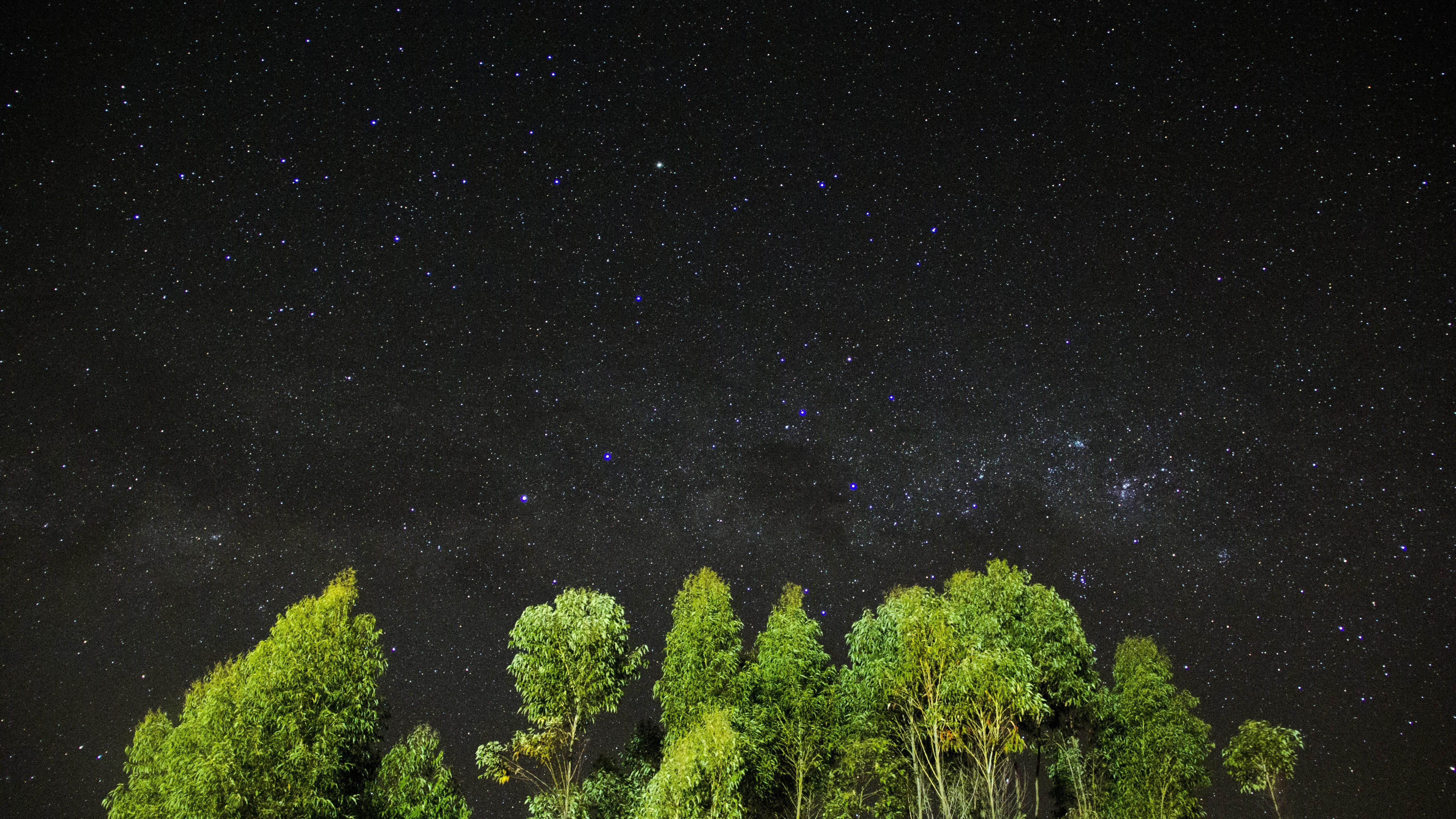 5120 x 2880 · jpeg - Wallpaper night, stars, sky, trees, 4k, Nature #16014