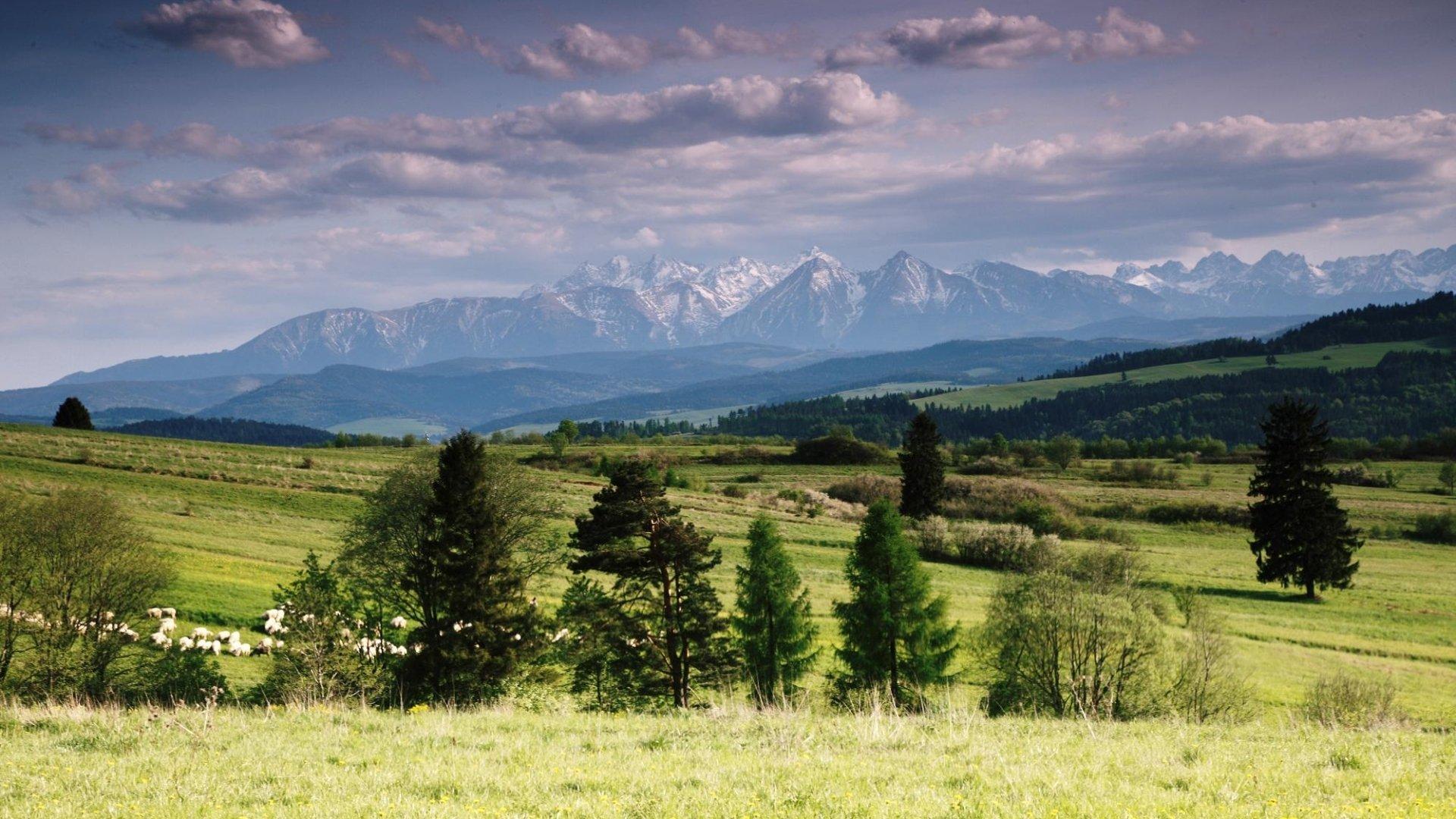 1920 x 1080 · jpeg - view of the Tatra Mountains HD Wallpaper | Background Image | 1920x1080 ...