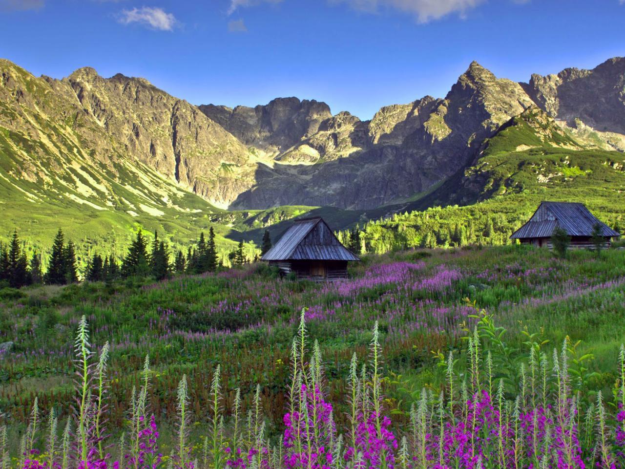 1280 x 960 · jpeg - Polish Tatra Mountains Wallpaper in HD - HD Wallpapers | Wallpapers ...