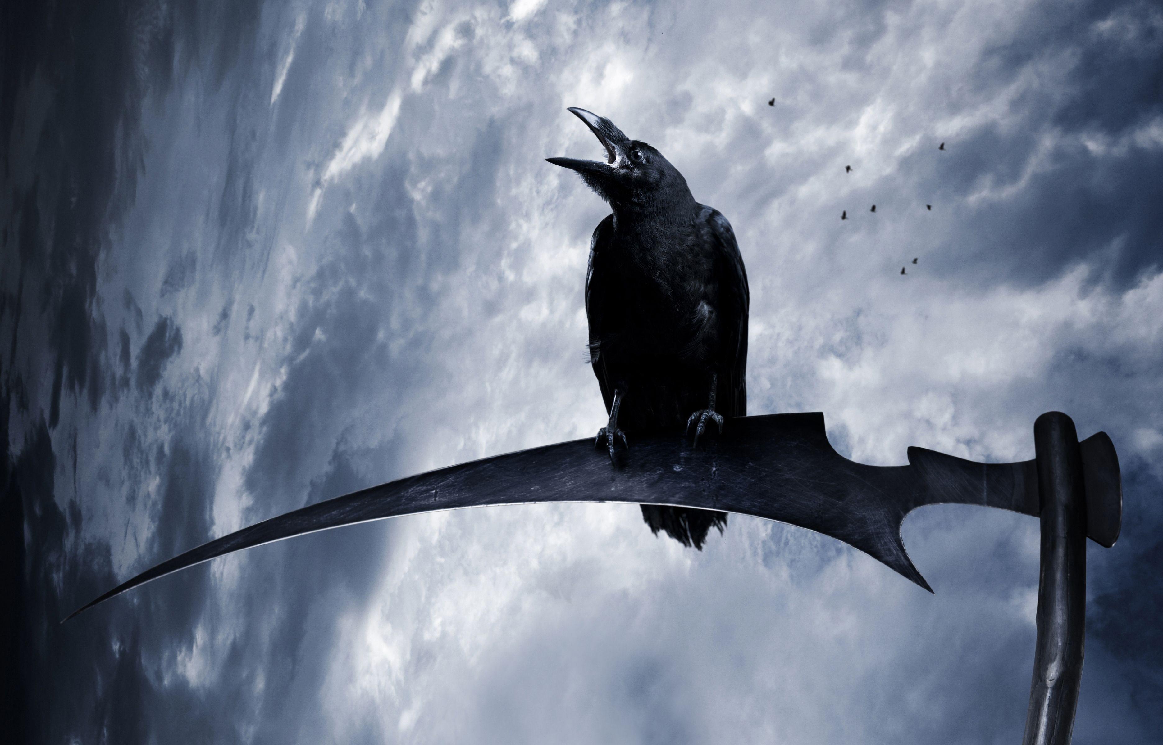 3744 x 2400 · jpeg - The Crow 4K Wallpapers - Top Free The Crow 4K Backgrounds - WallpaperAccess