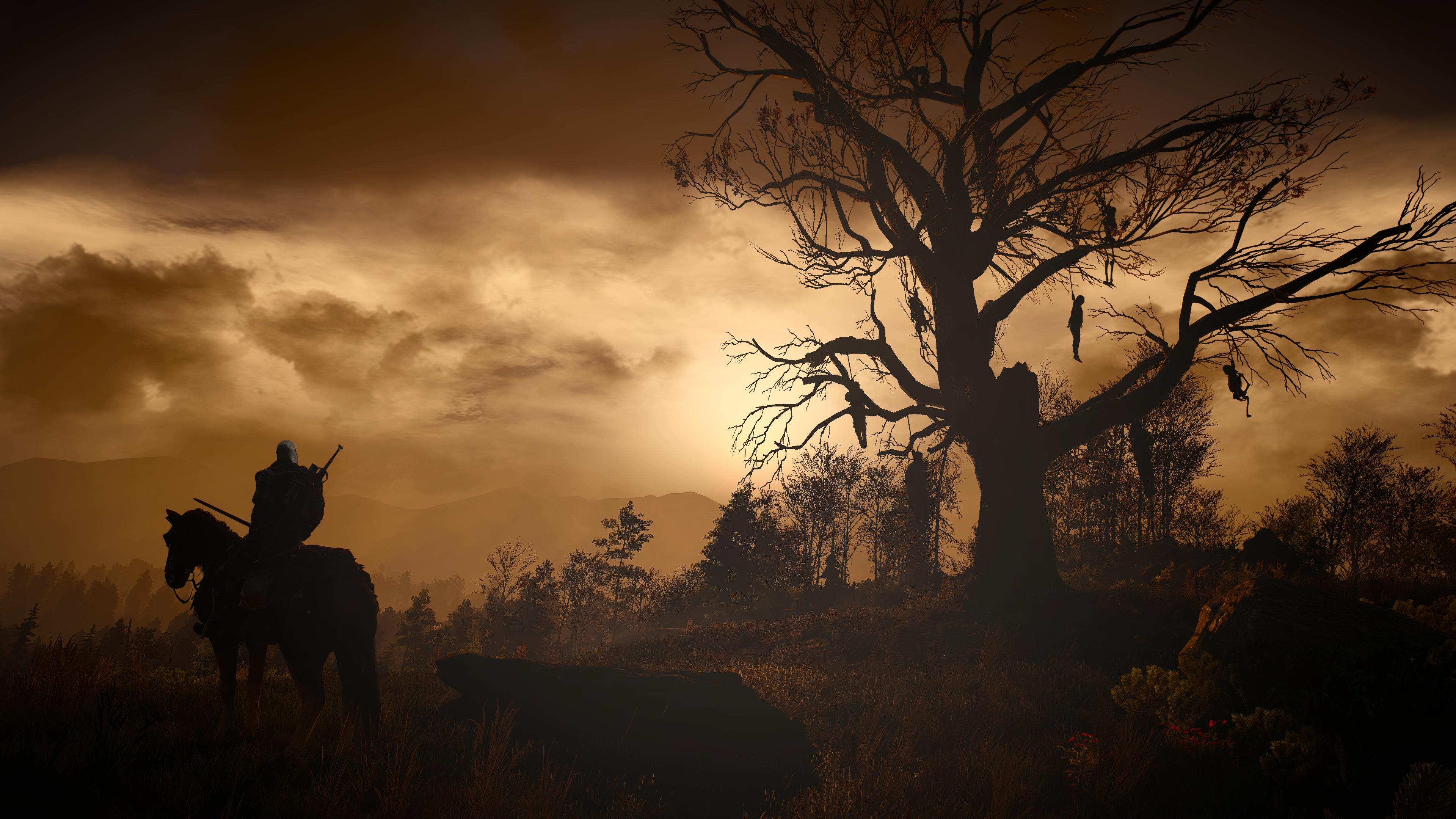 3840 x 2160 · png - The Witcher 3: Wild Hunt Wallpapers, Pictures, Images
