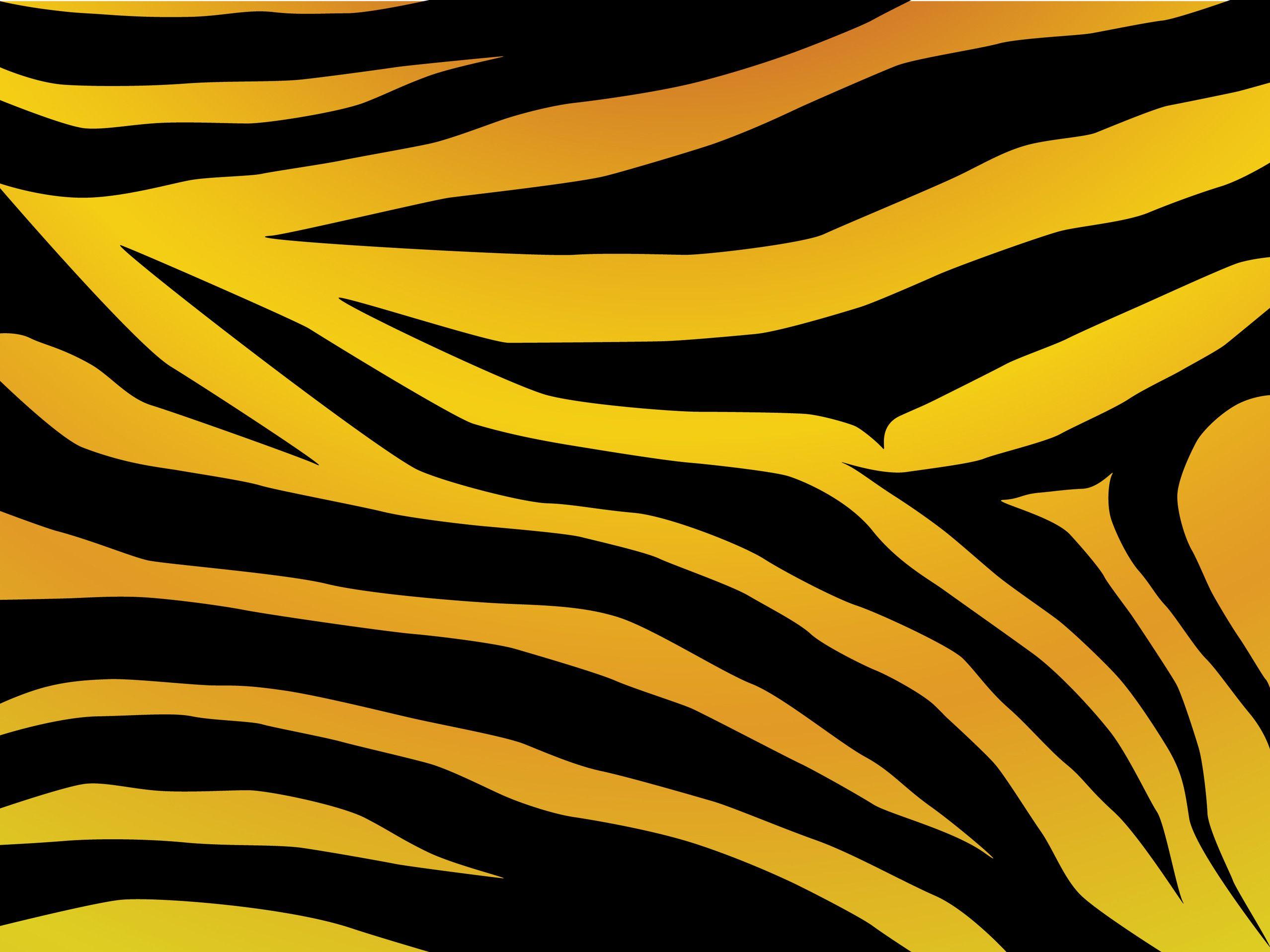 2556 x 1917 · jpeg - Tiger striped seat protectors or stripes added to sides?