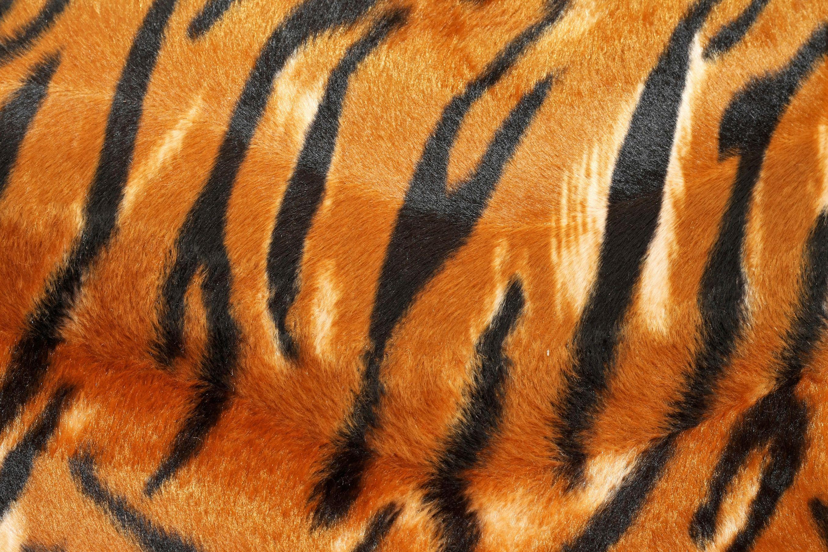 2711 x 1807 · jpeg - Tiger skin 1 | Animal print wallpaper, Tiger stripes, Print wallpaper
