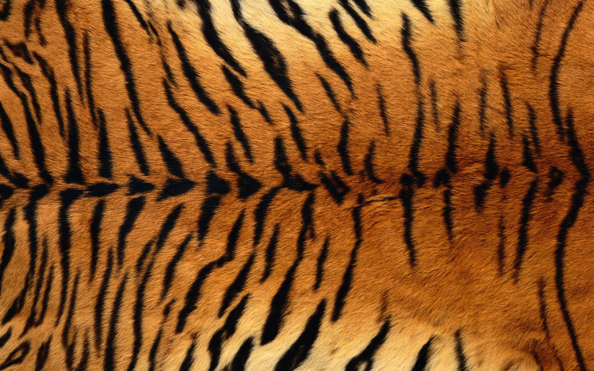 1920 x 1200 · jpeg - tiger print HD Wallpaper | Background Image | 1920x1200 | ID:424869 ...