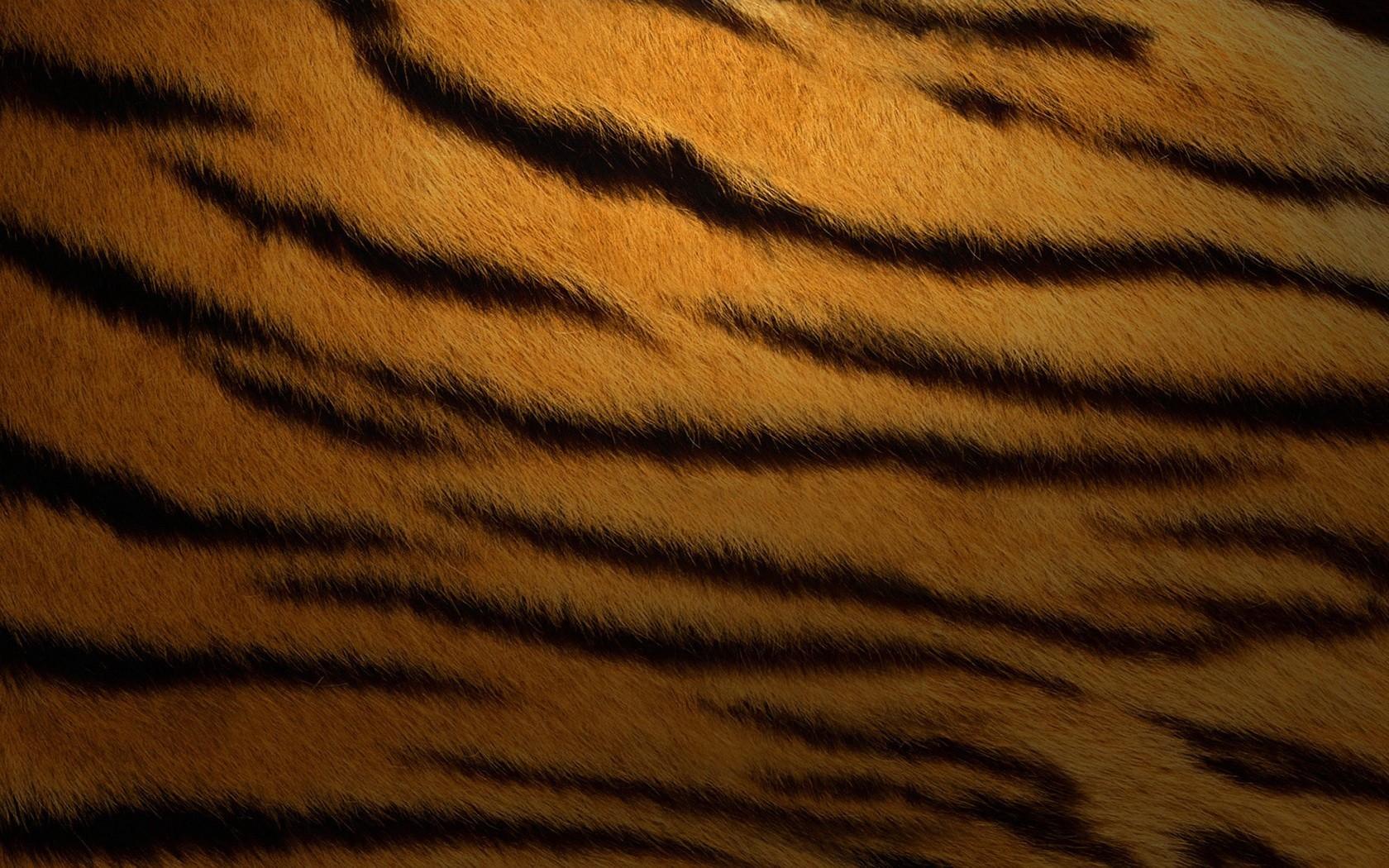 1680 x 1050 · jpeg - Download Tiger Print Wallpaper Gallery