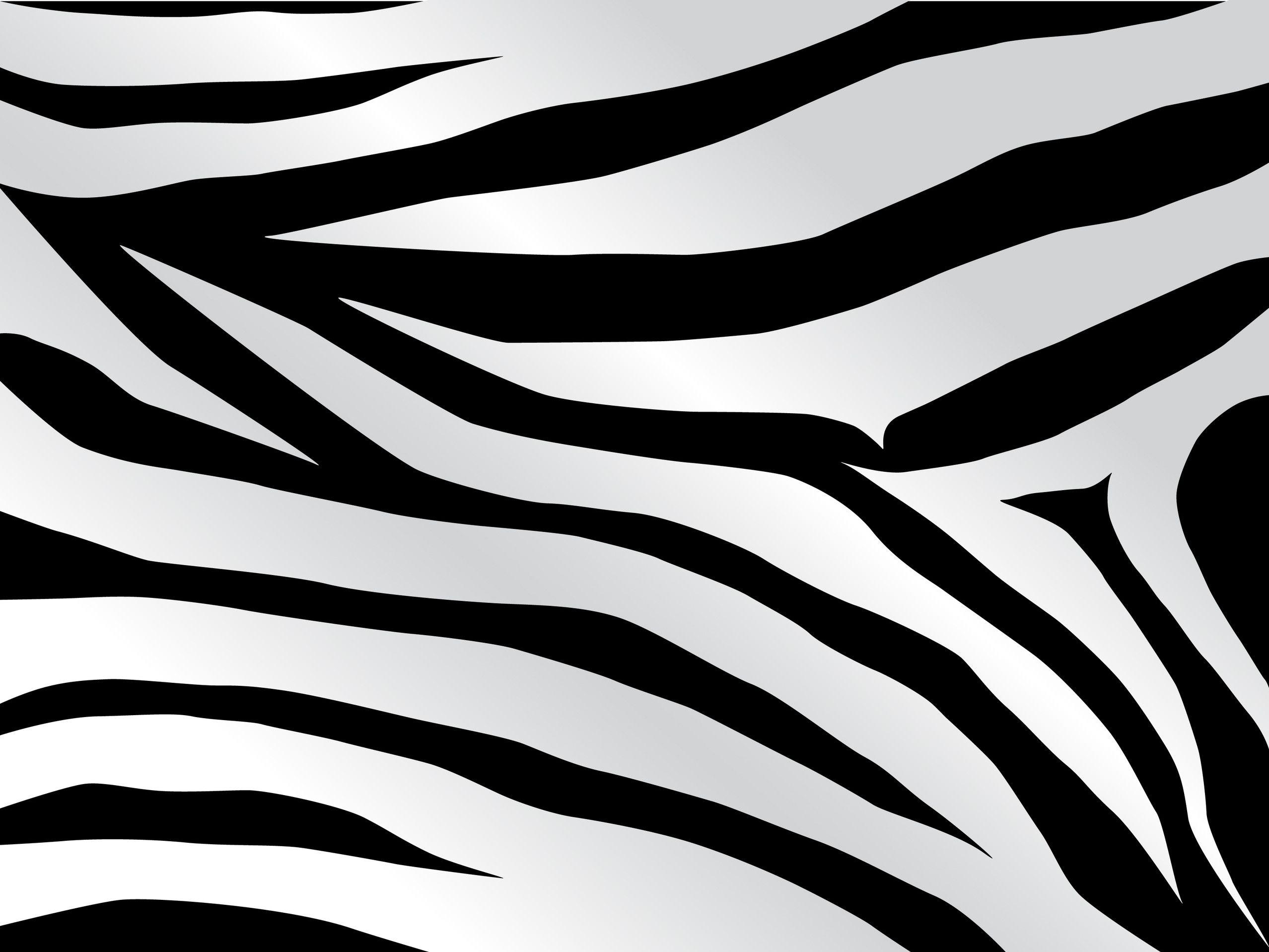 2556 x 1917 · jpeg - White Zebra Stripes | Animal print wallpaper, Vector black and white ...
