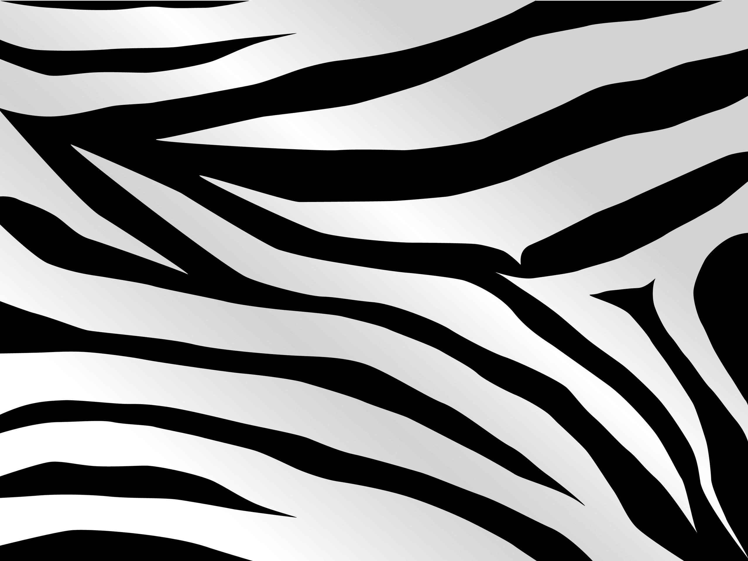 2556 x 1917 · jpeg - Download Black And White Tiger Print Wallpaper Gallery