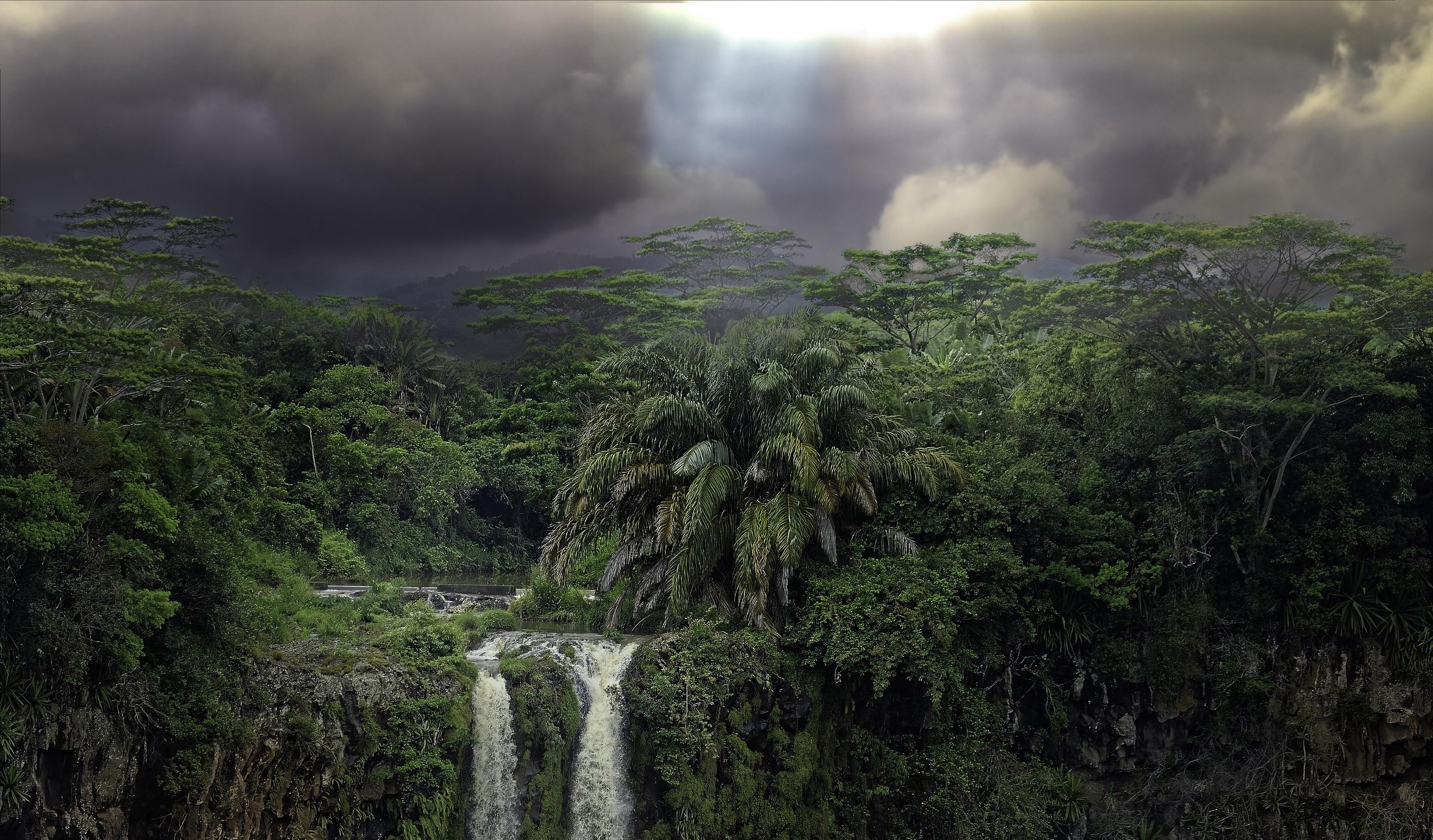 2900 x 1700 · jpeg - Tropical RainForest Wallpaper 1 WallpaperTag