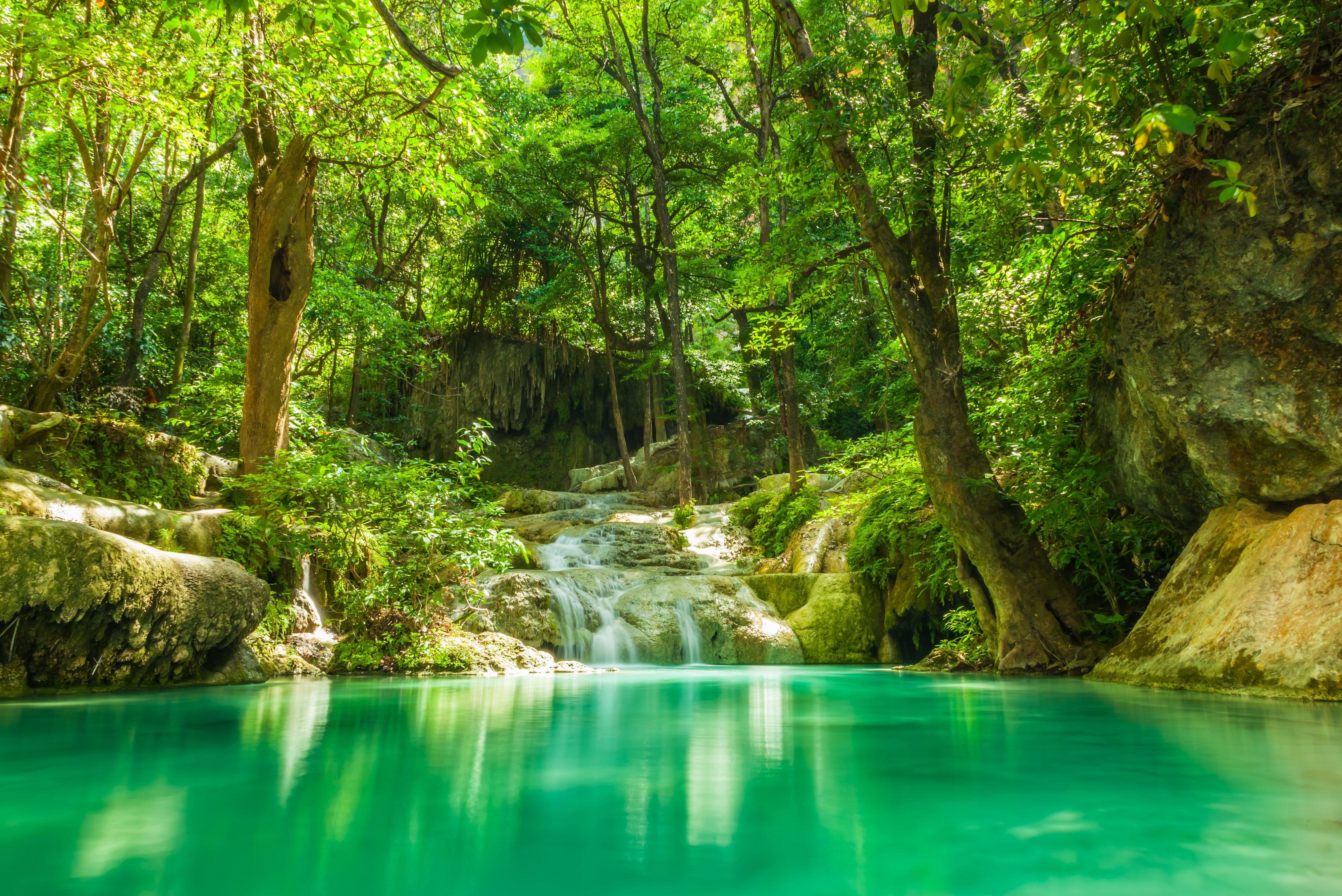 4000 x 2671 · jpeg - Summer forest lake stream waterfall rocks trees greenery tropical ...