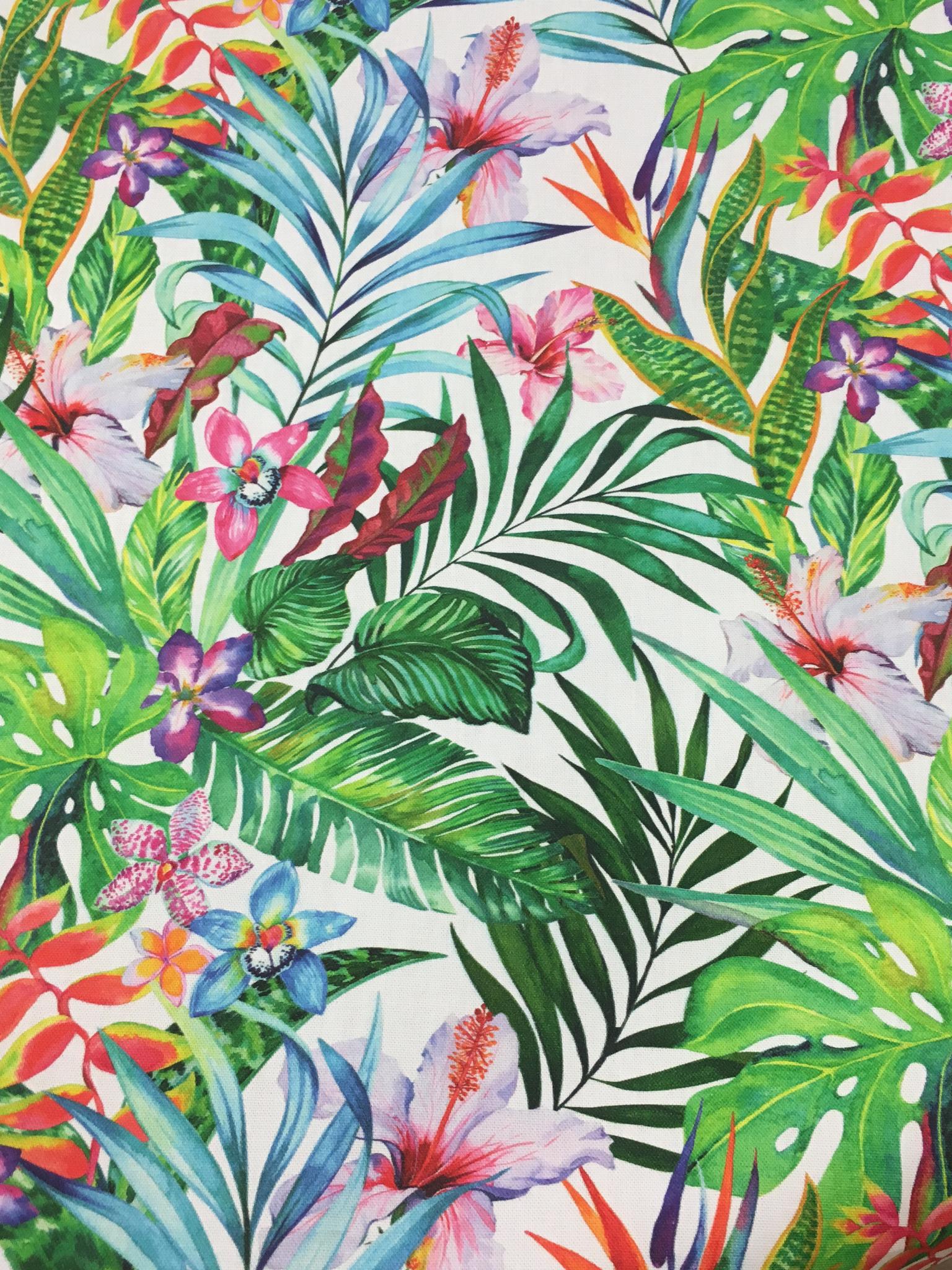 1536 x 2048 · png - Pin by Jess Grossman on LA CACHARRERIA GIJON | Tropical wallpaper ...