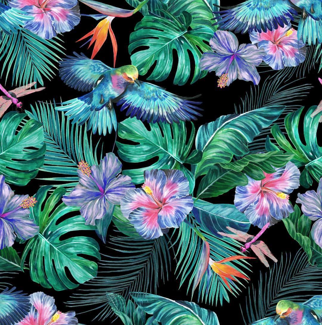 1080 x 1089 · jpeg - Wallpaper idea for downstairs toilet | Tropical fabric prints ...